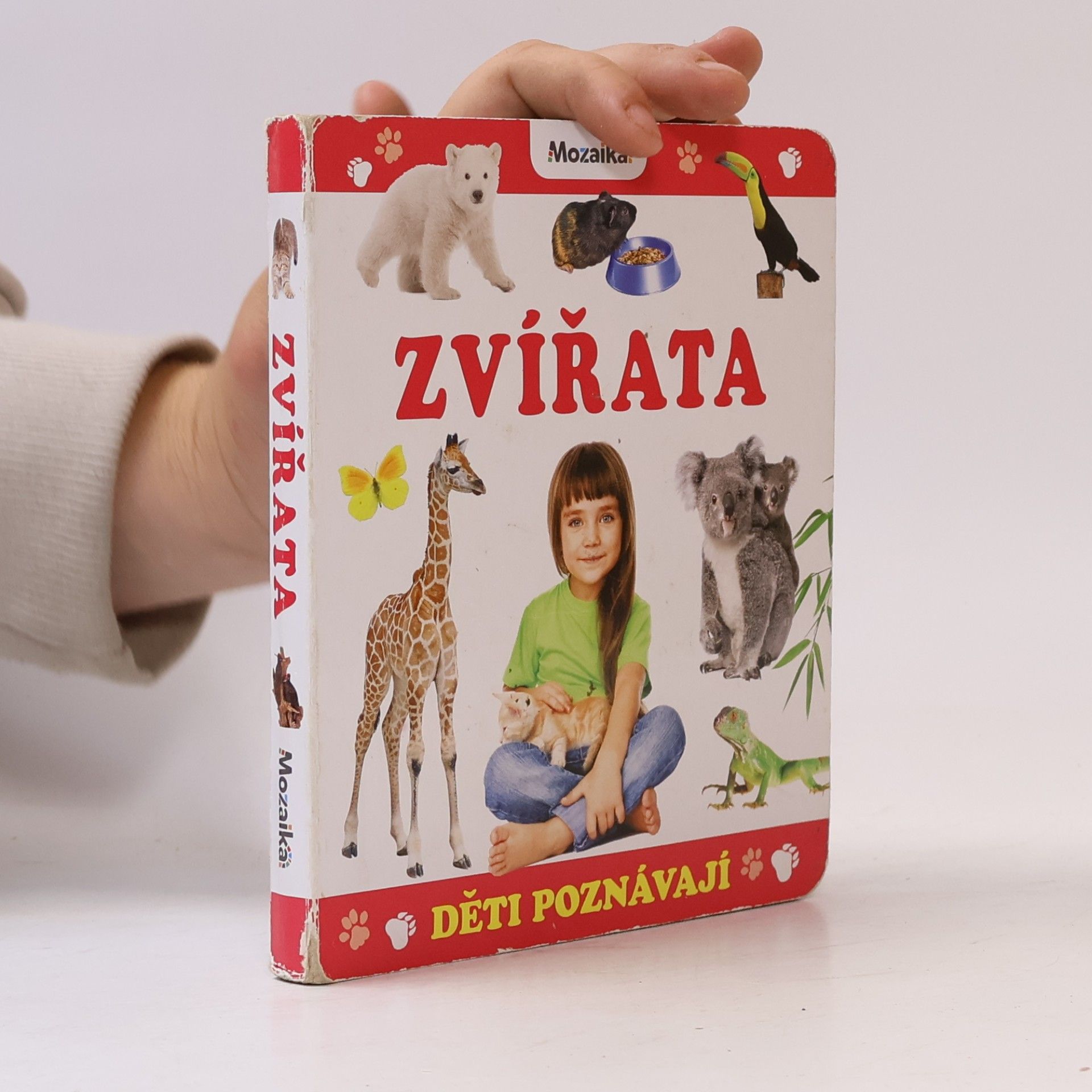 Collectif d'auteurs Děti poznávají zvířata