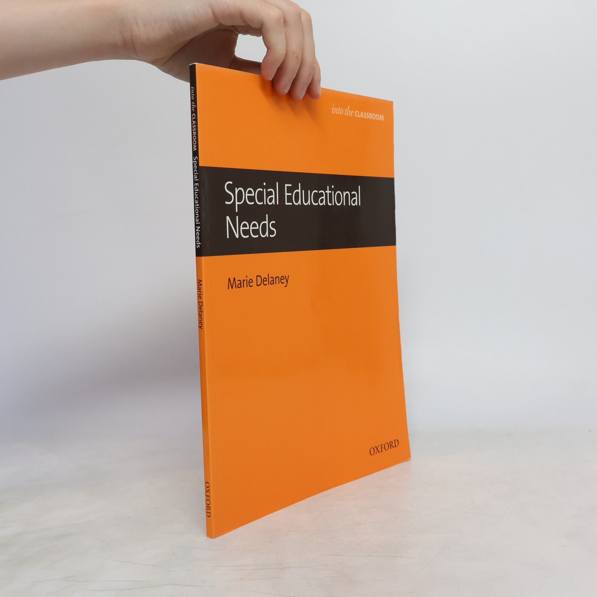 Marie Delaney Special Educational Needs