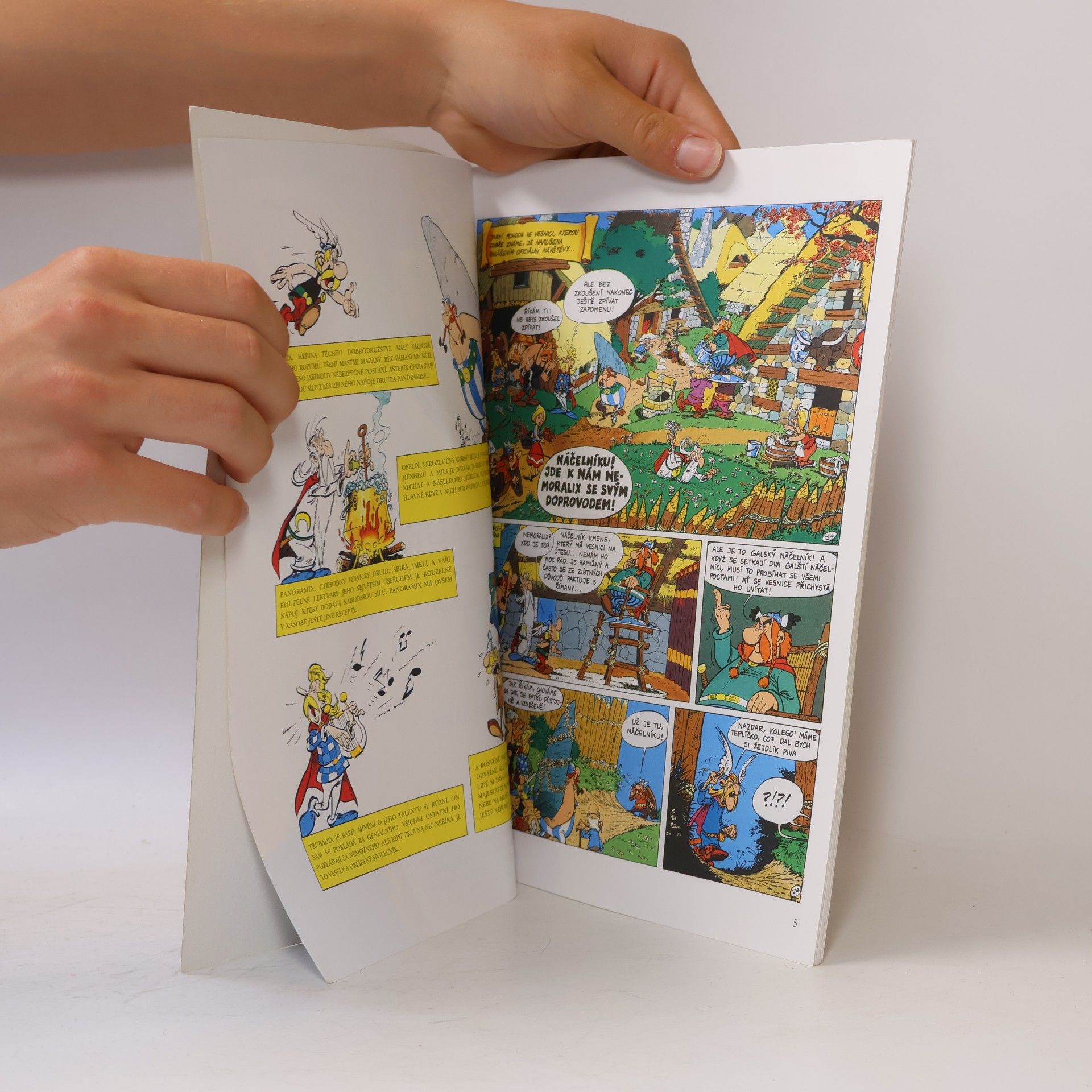 René Goscinny Asterix. Díl XIII. Asterix a kotlík