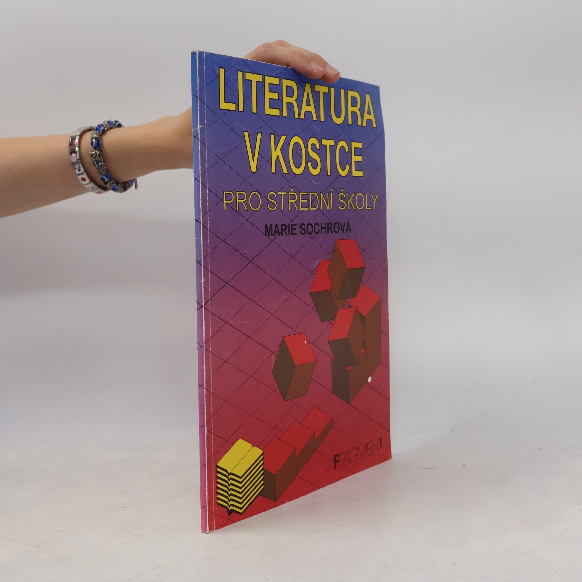 Literatura v kostce