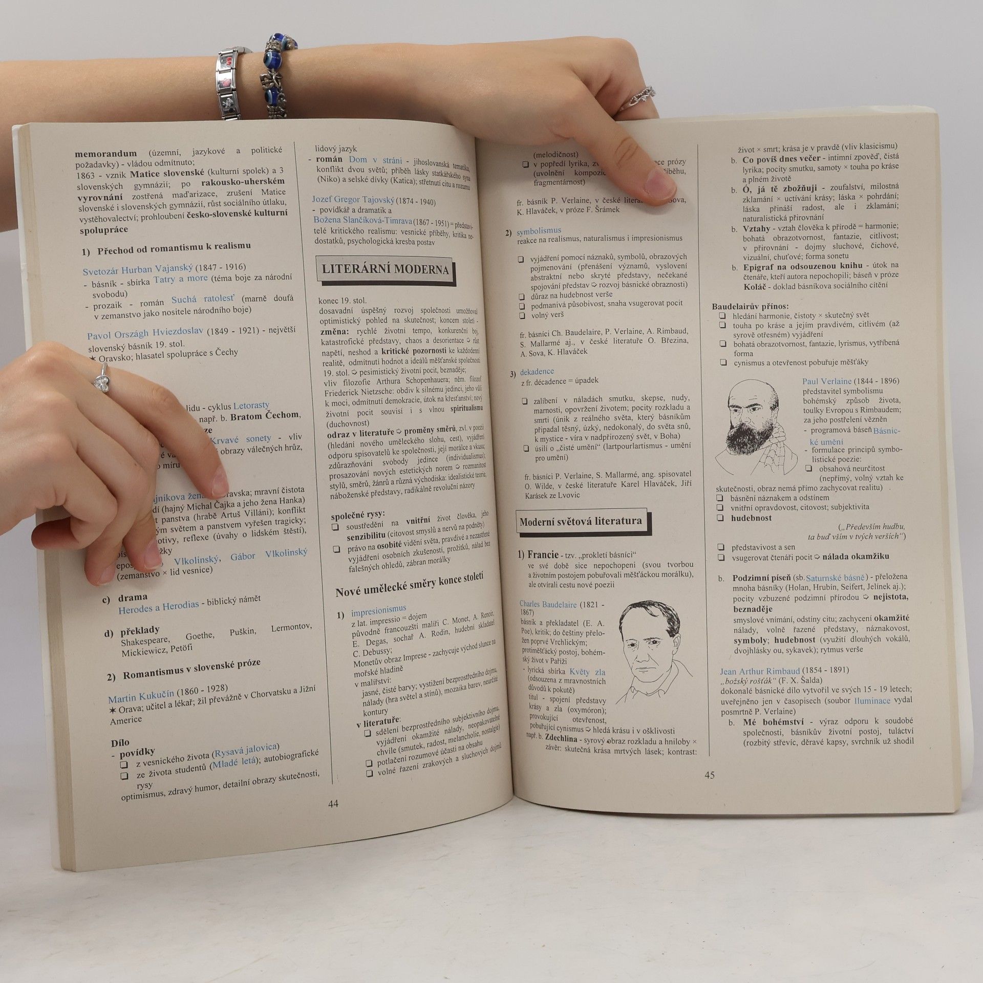 Tomáš Řízek Literatura v kostce