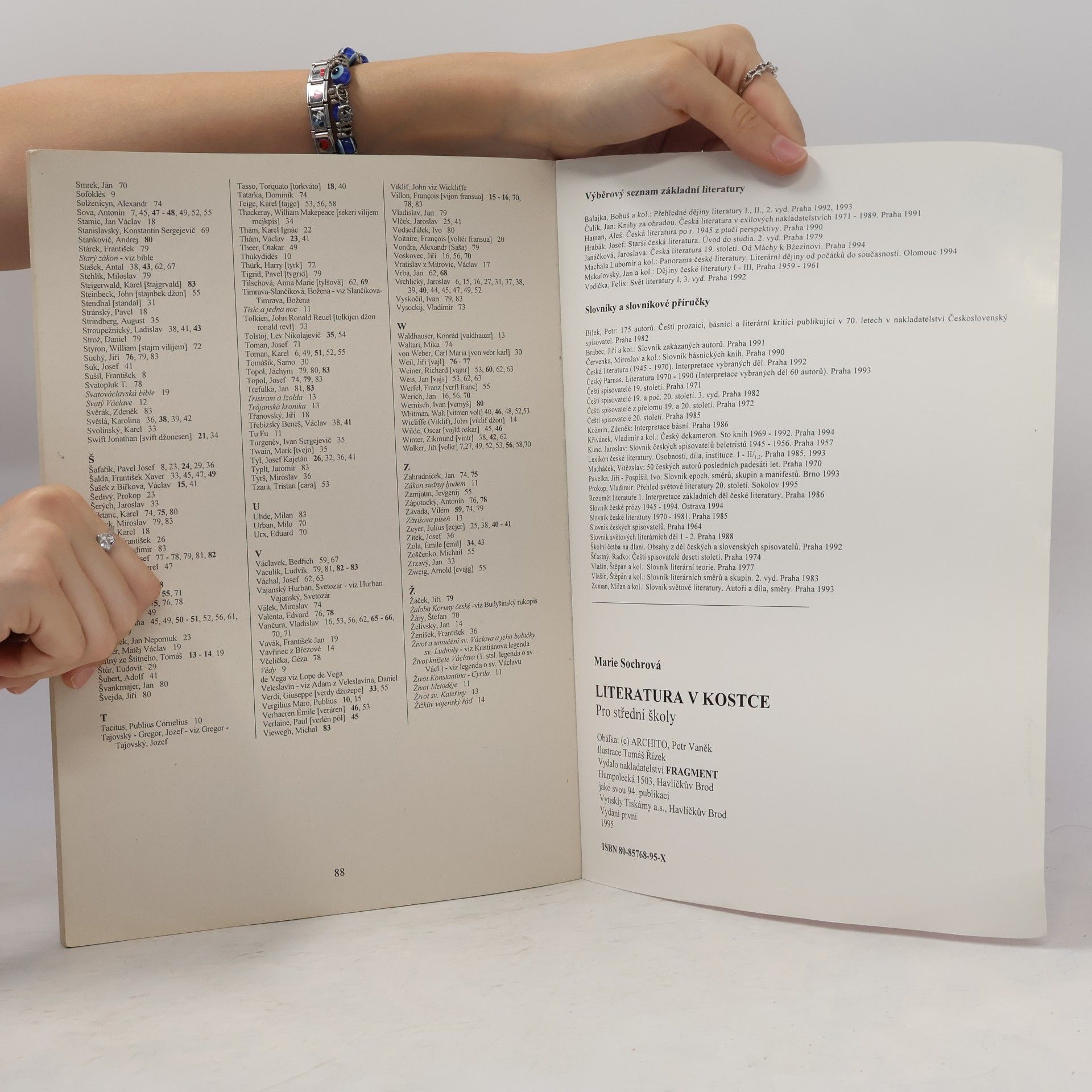 Tomáš Řízek Literatura v kostce