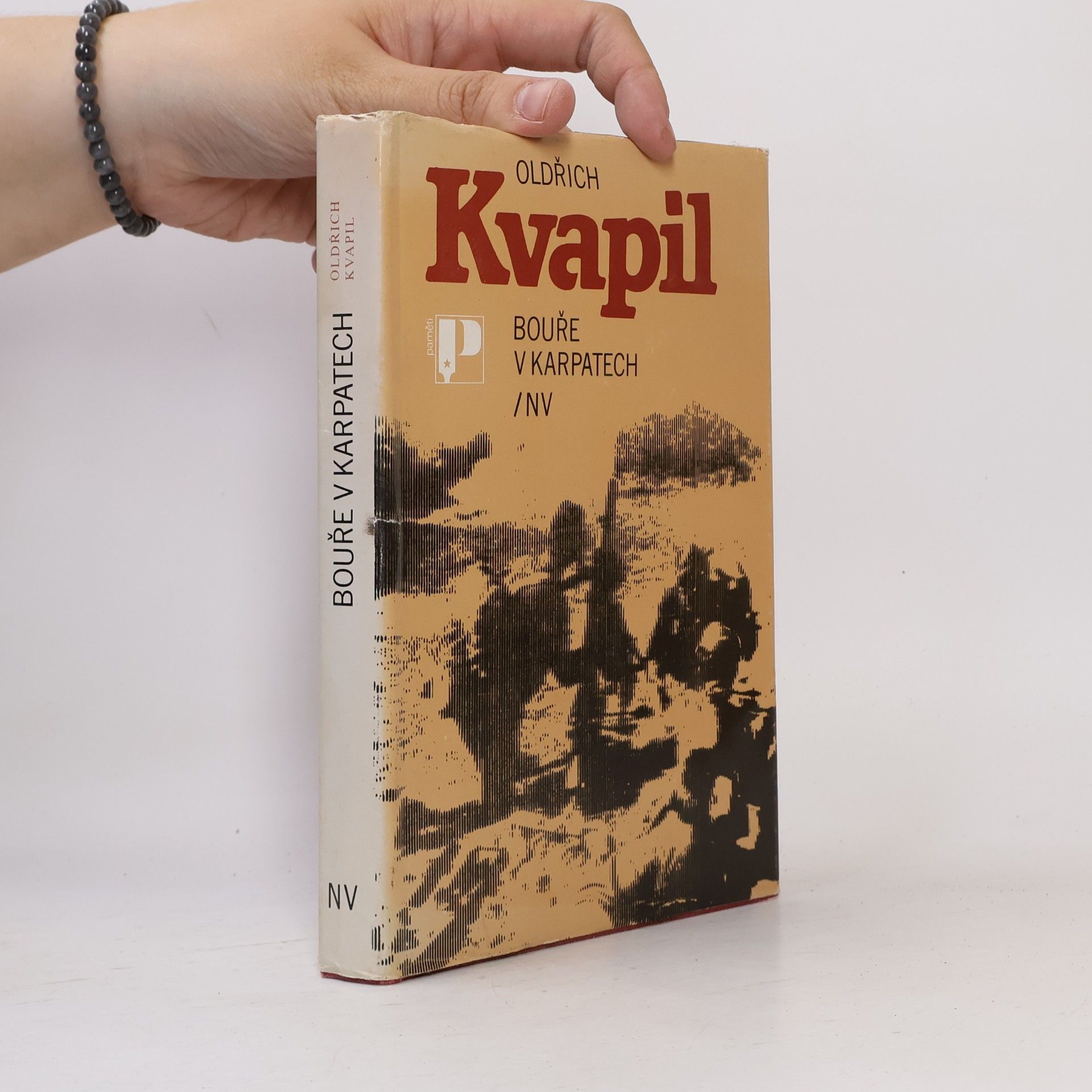 Oldřich Kvapil Bouře v Karpatech