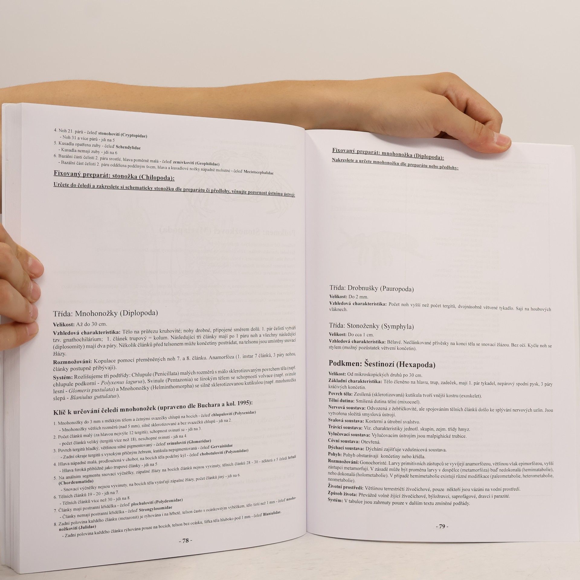 Autorenkollektiv Pracovní sešit ze zoologie