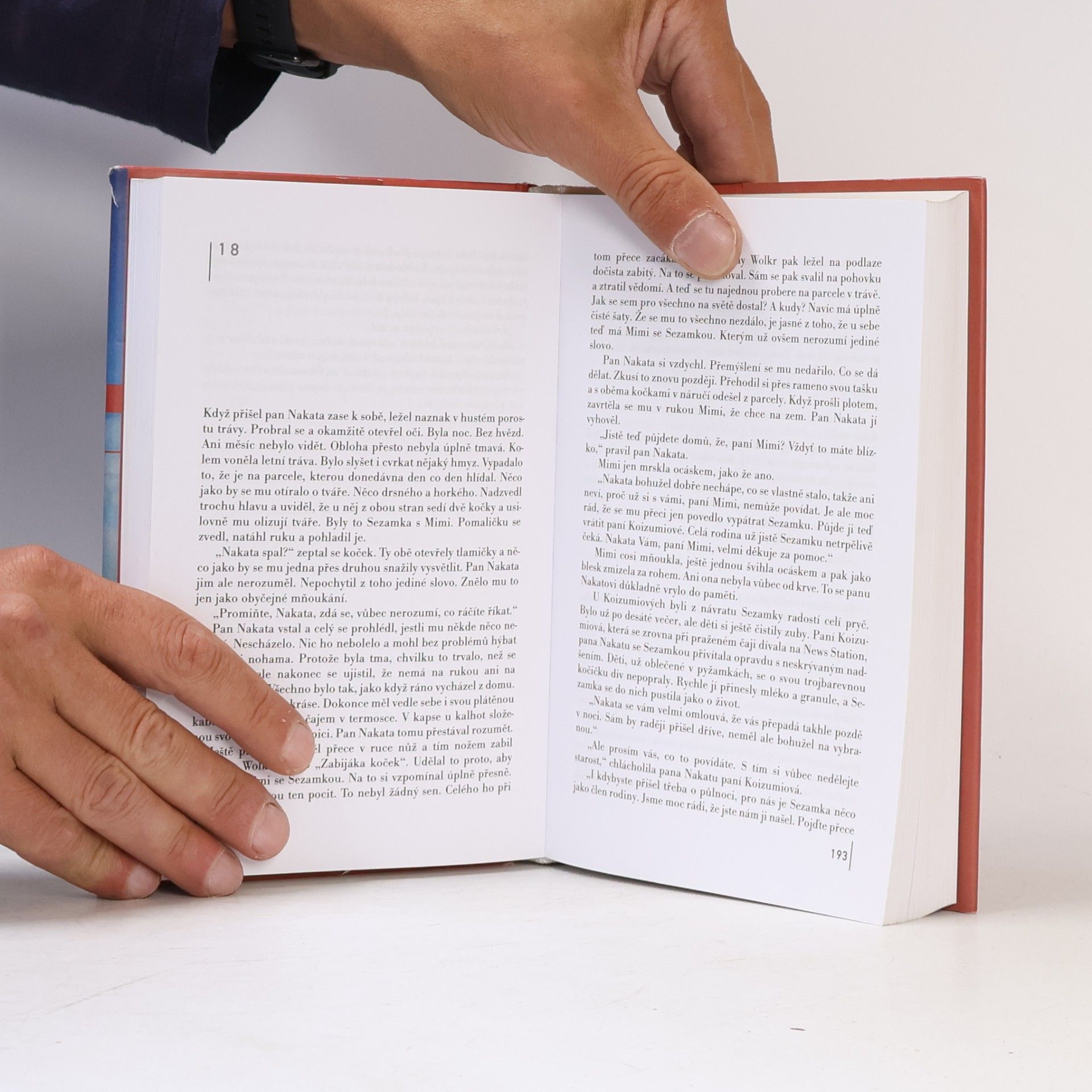 Haruki Murakami Kafka na pobřeží