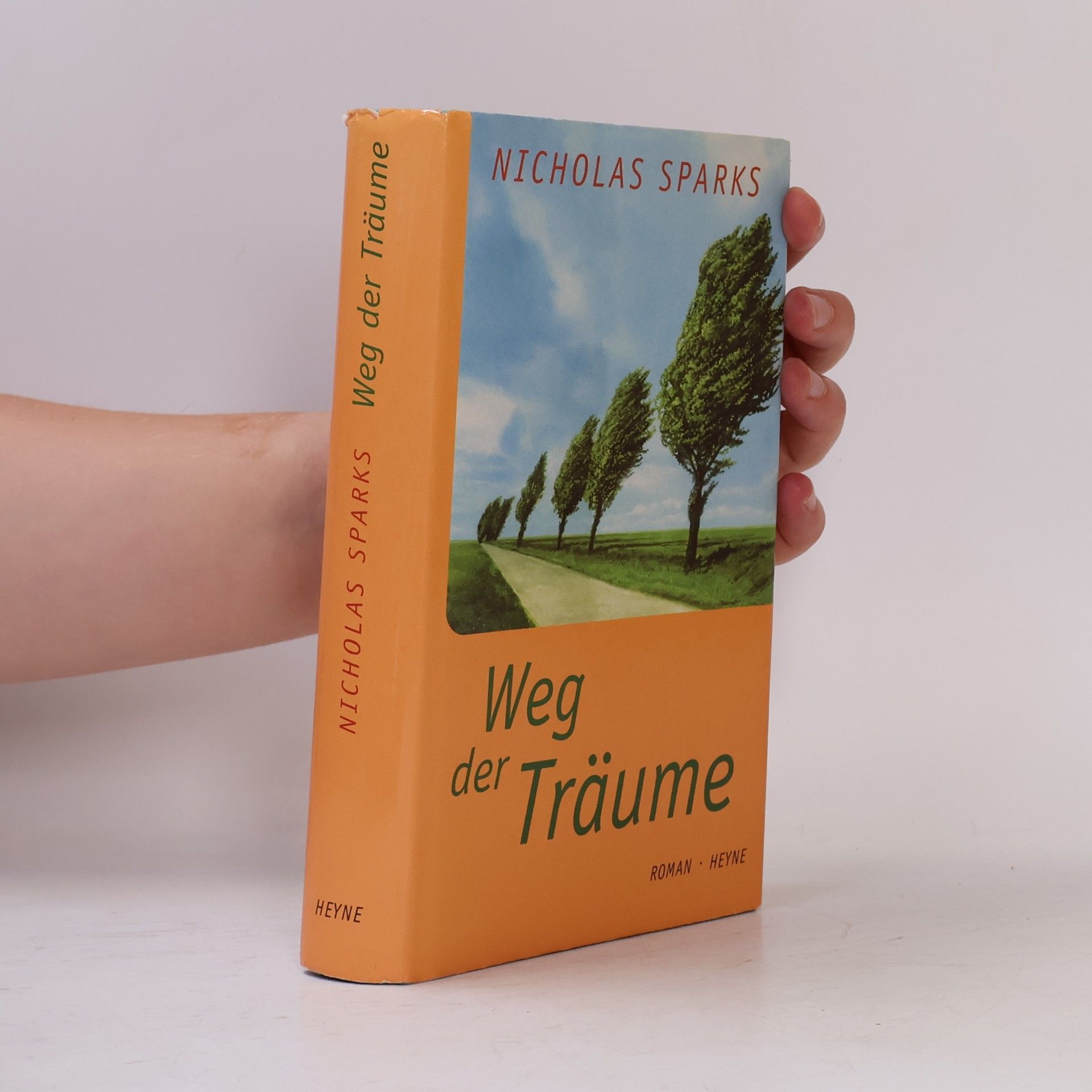 Nicholas Sparks Weg der Träume