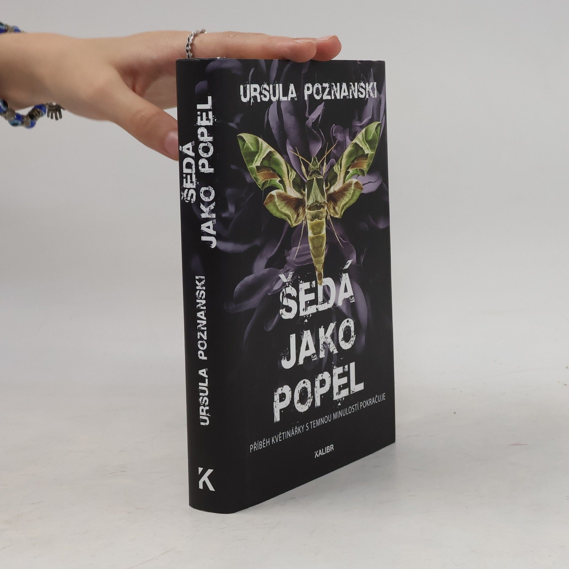 Ursula Poznanski Šedá jako popel