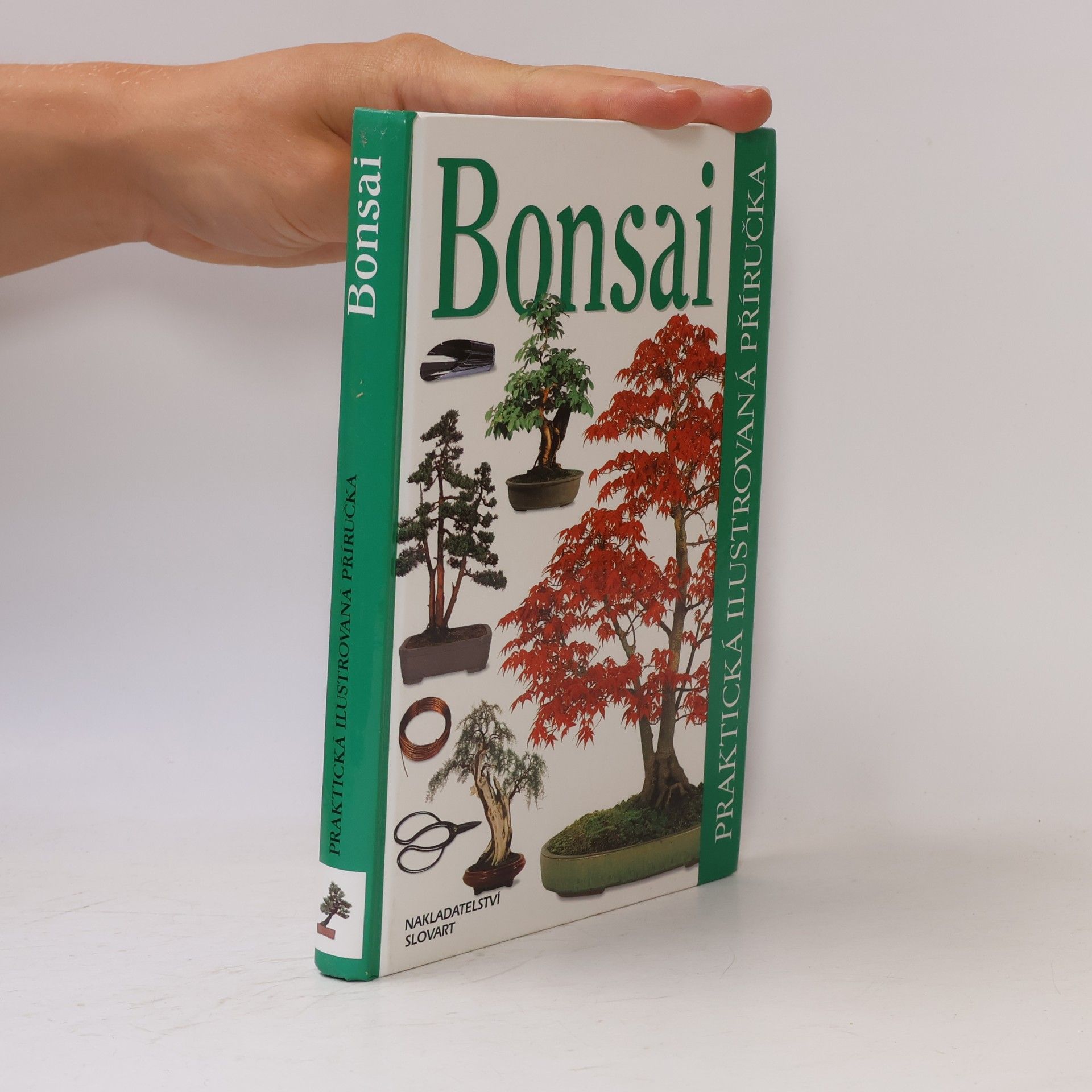 Dana Wiesnerová Bonsai. Praktická ilustrovaná příručka