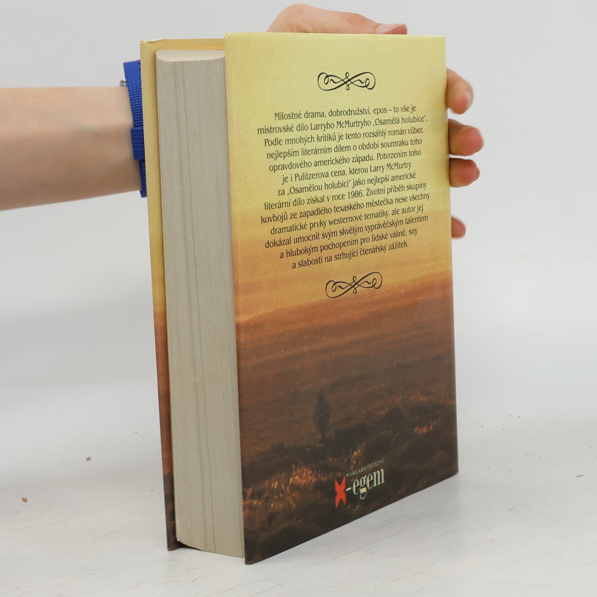 Larry McMurtry Osamělá holubice
