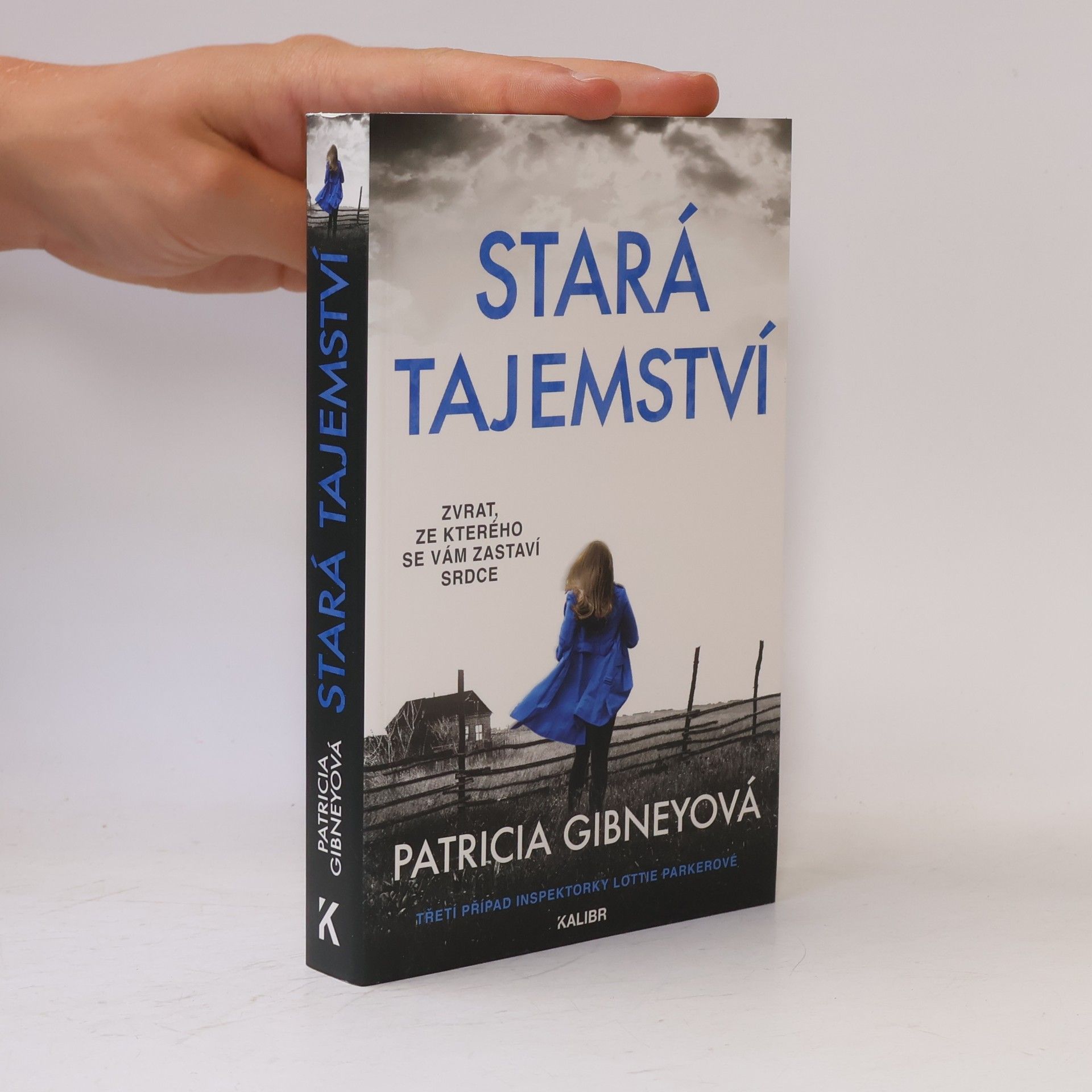 Patricia Gibney Stará tajemství