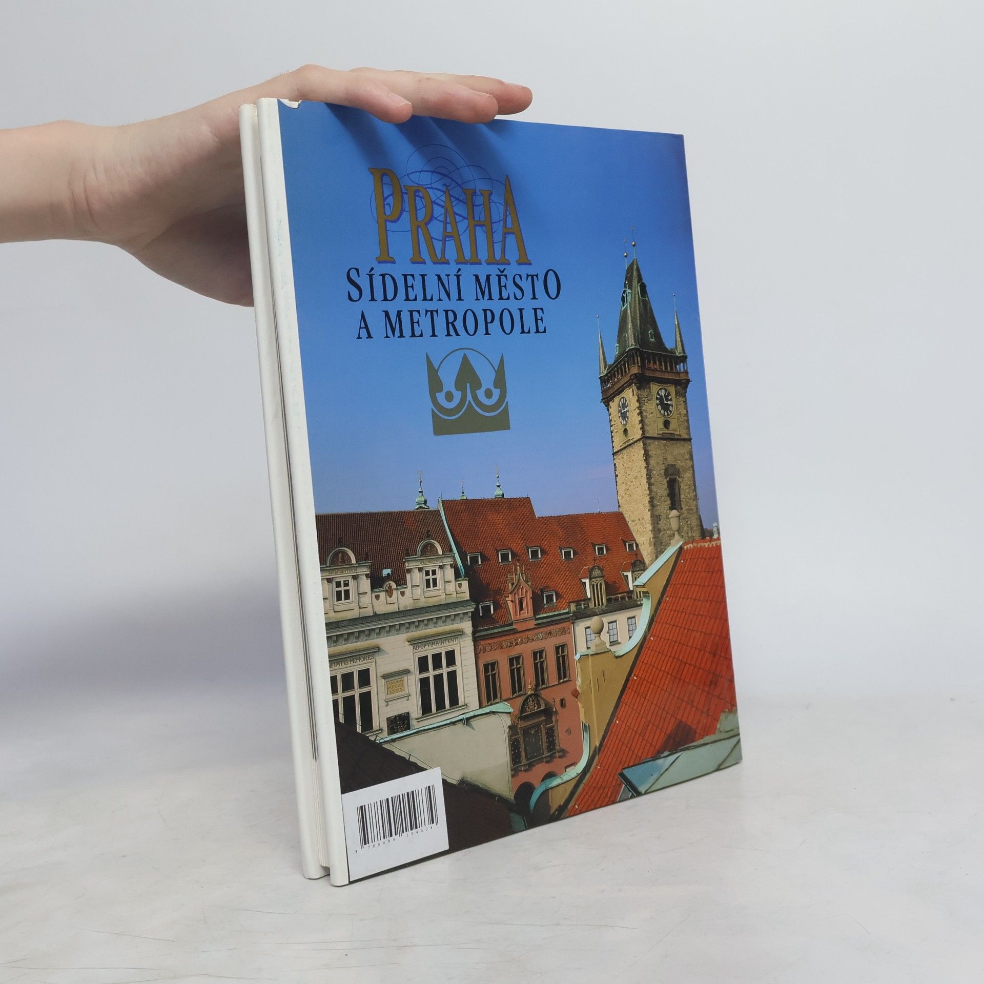 Petr Čornej Praha sídelní město a metropole