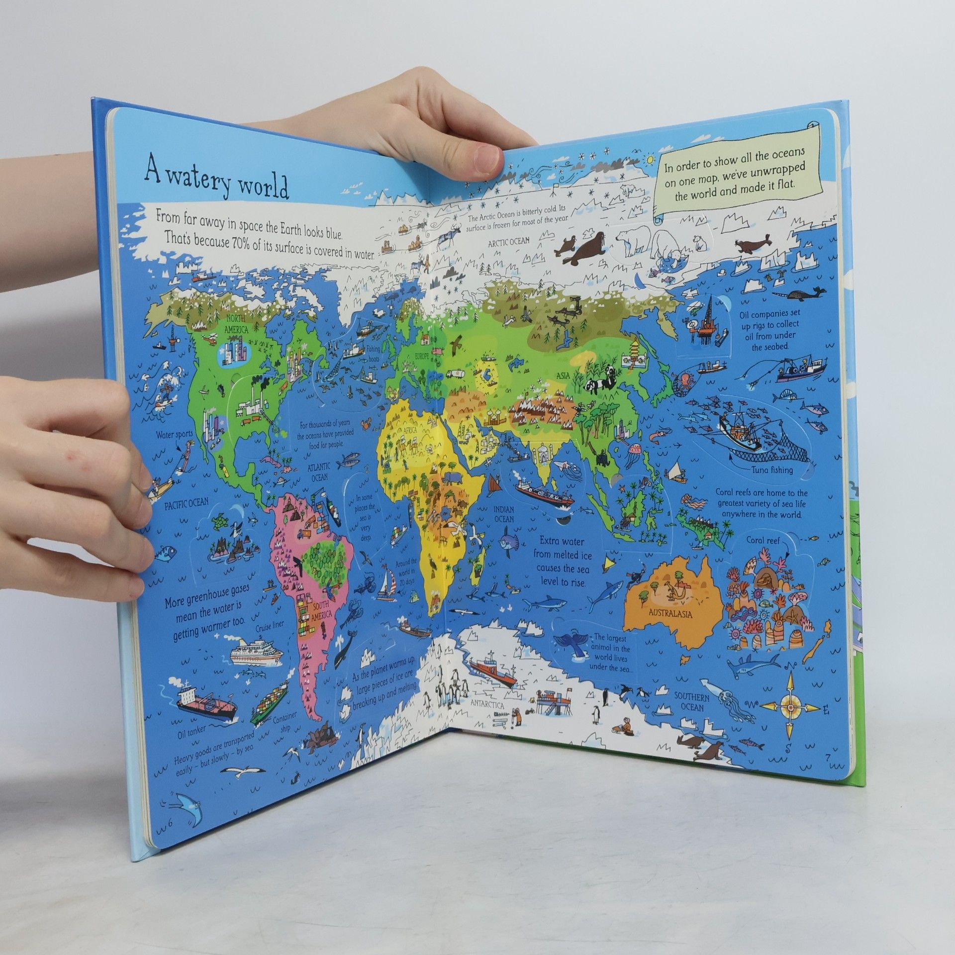 Katie Daynes An Usborne flap book see inside planet Earth : with over 80 flaps to lift