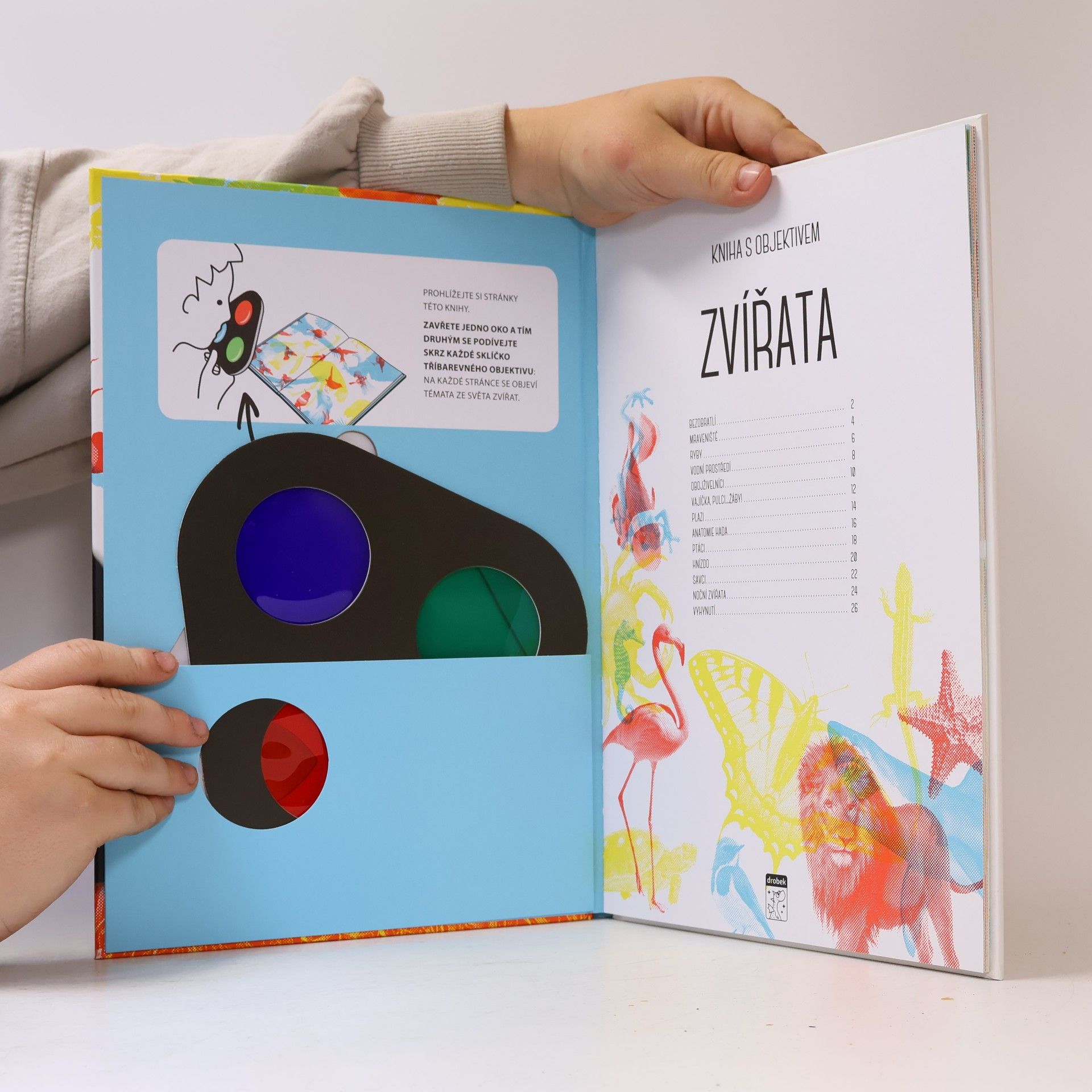 Valentina Facci Kniha s objektivem: Zvířata