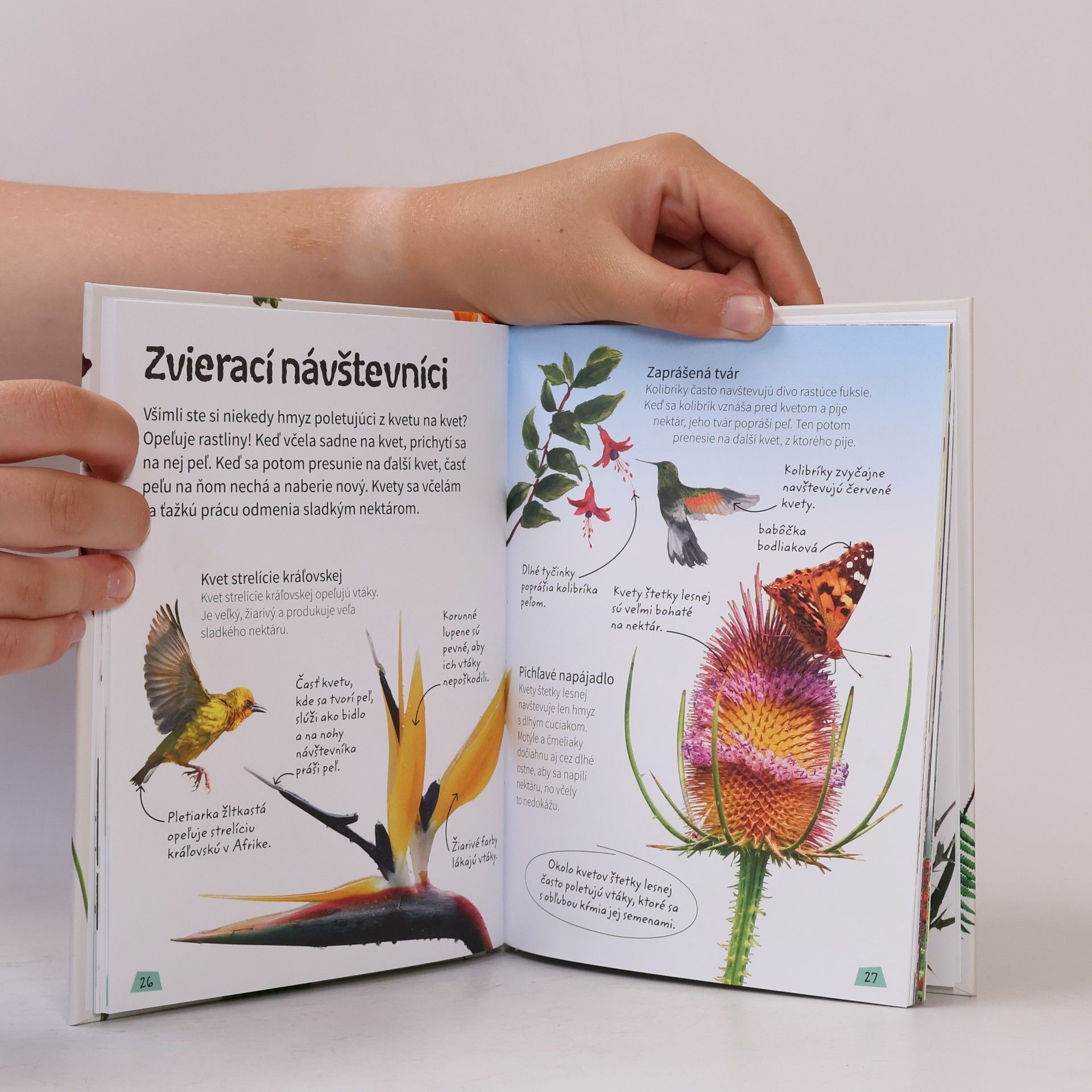 Various authors Kvety. Zaujímavé fakty o prírode okolo nás