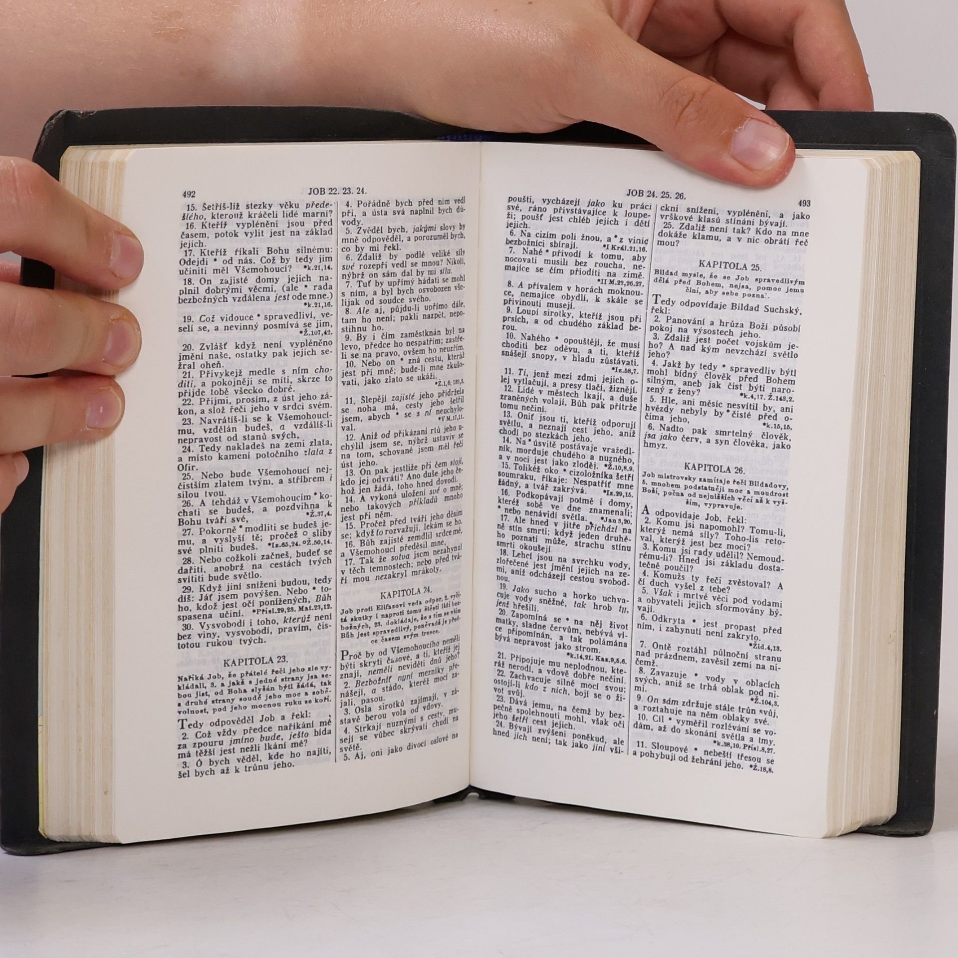 Kolektiv autorů Bible svatá