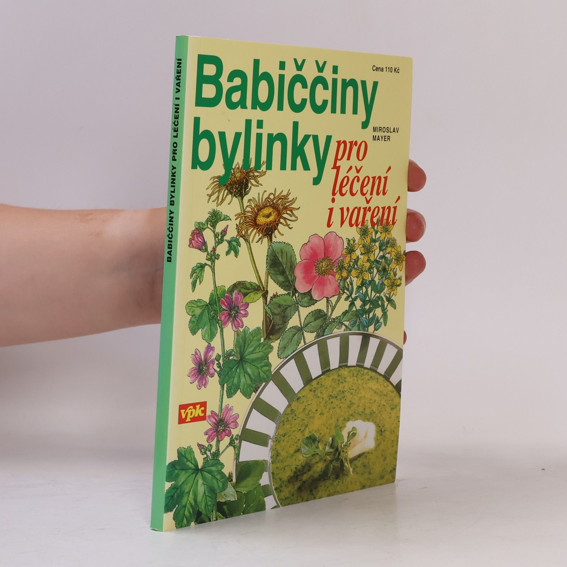 Miroslav Mayer Babiččiny bylinky pro léčení i vaření