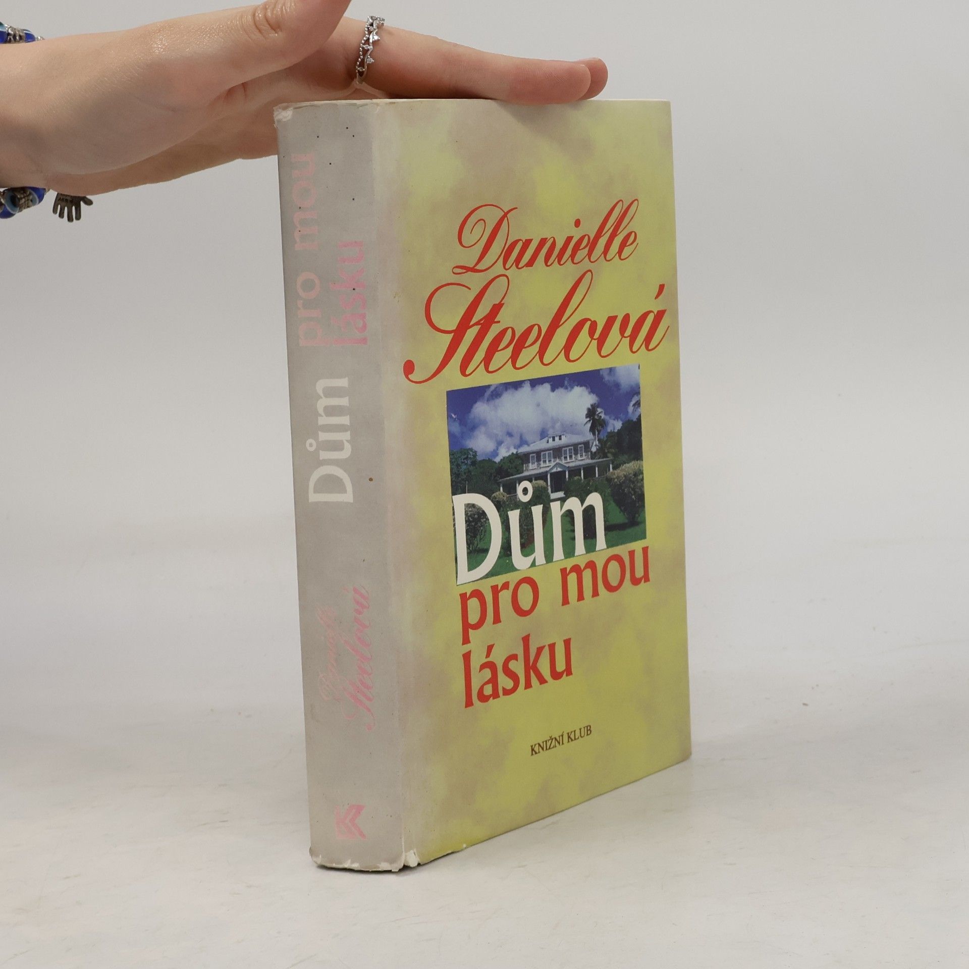 Danielle Steel Dům pro mou lásku