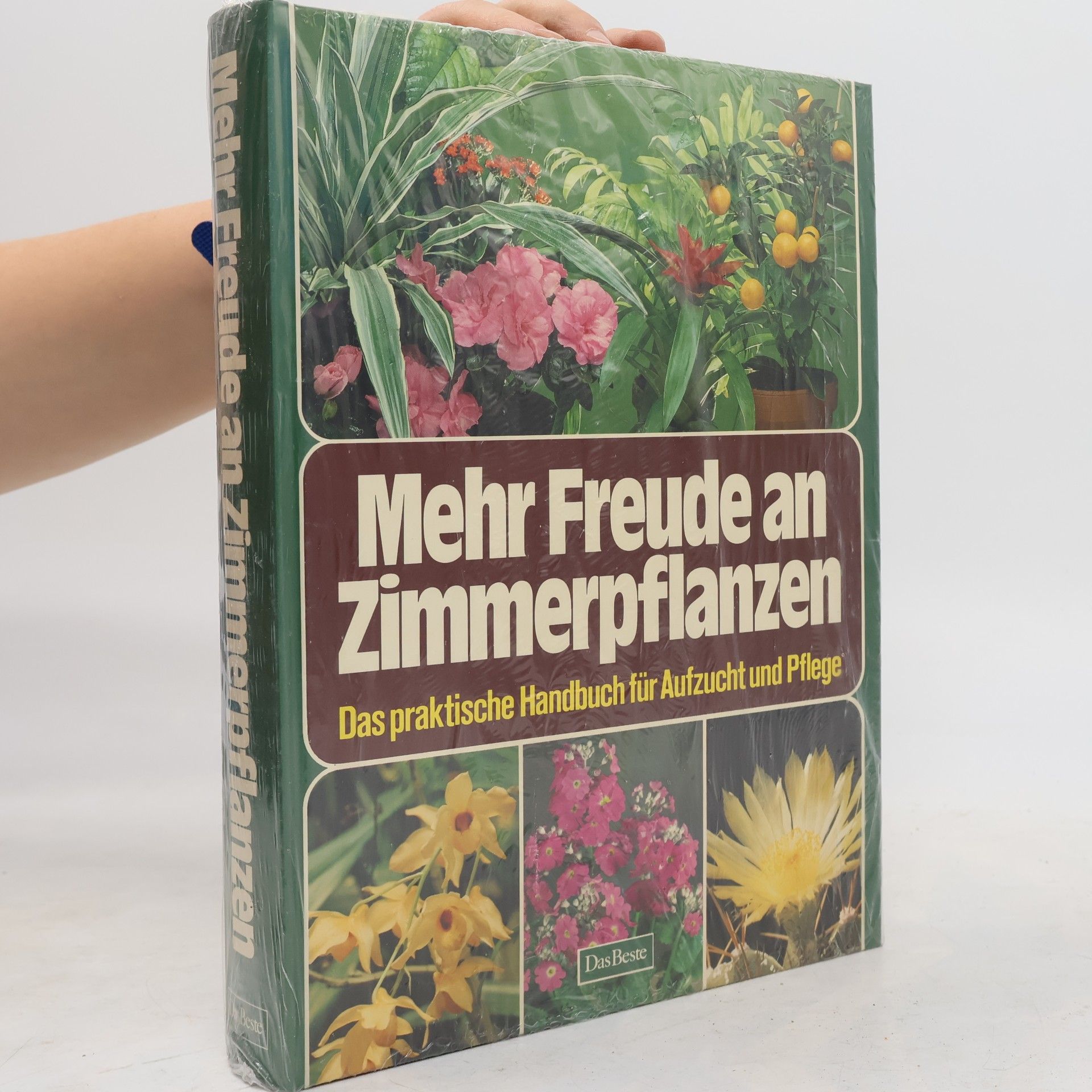 Autorenkollektiv Mehr Freude an Zimmerpflanzen