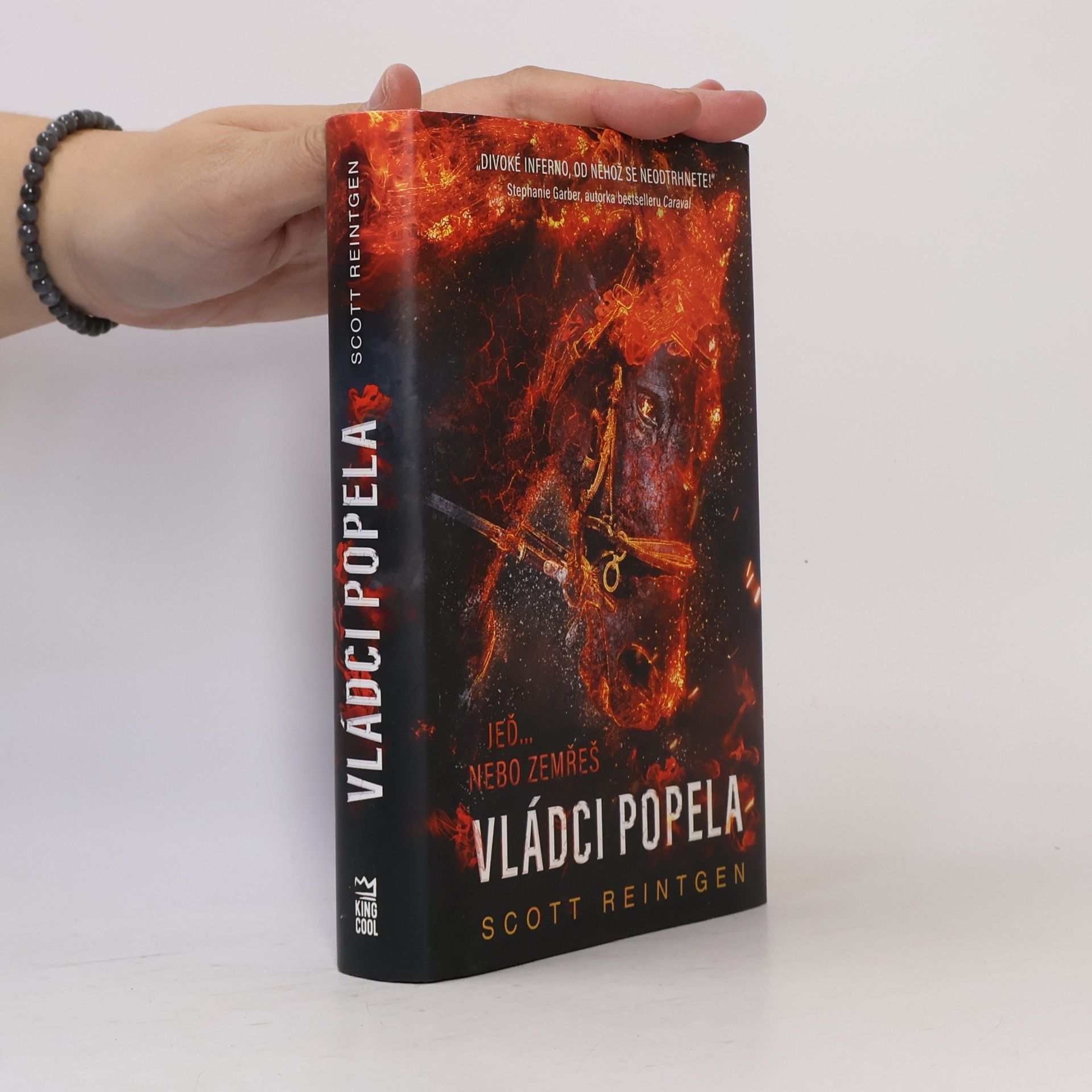 Scott Reintgen Vládci popela