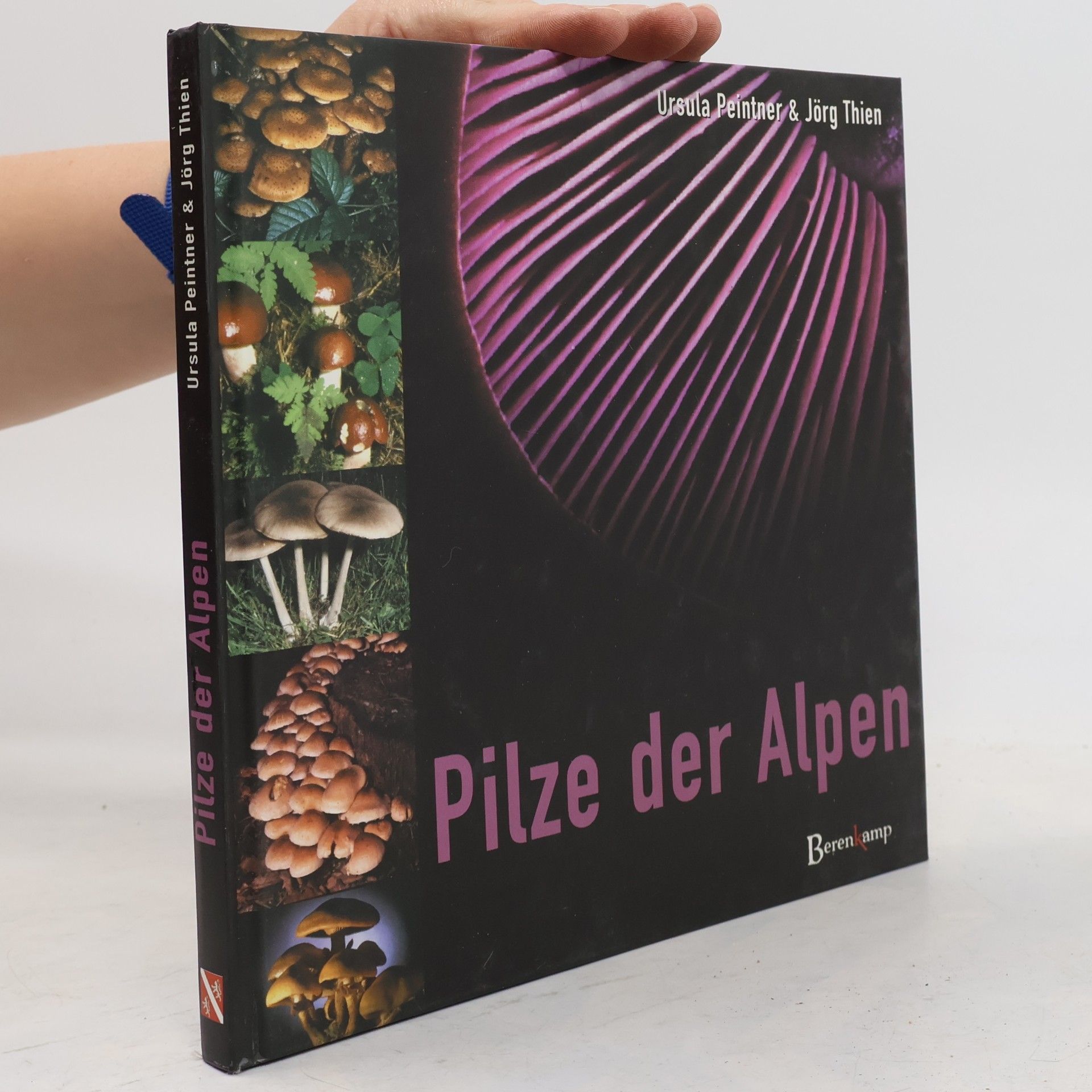 Reinhard Hölzl Mit dem Herzen gesehn