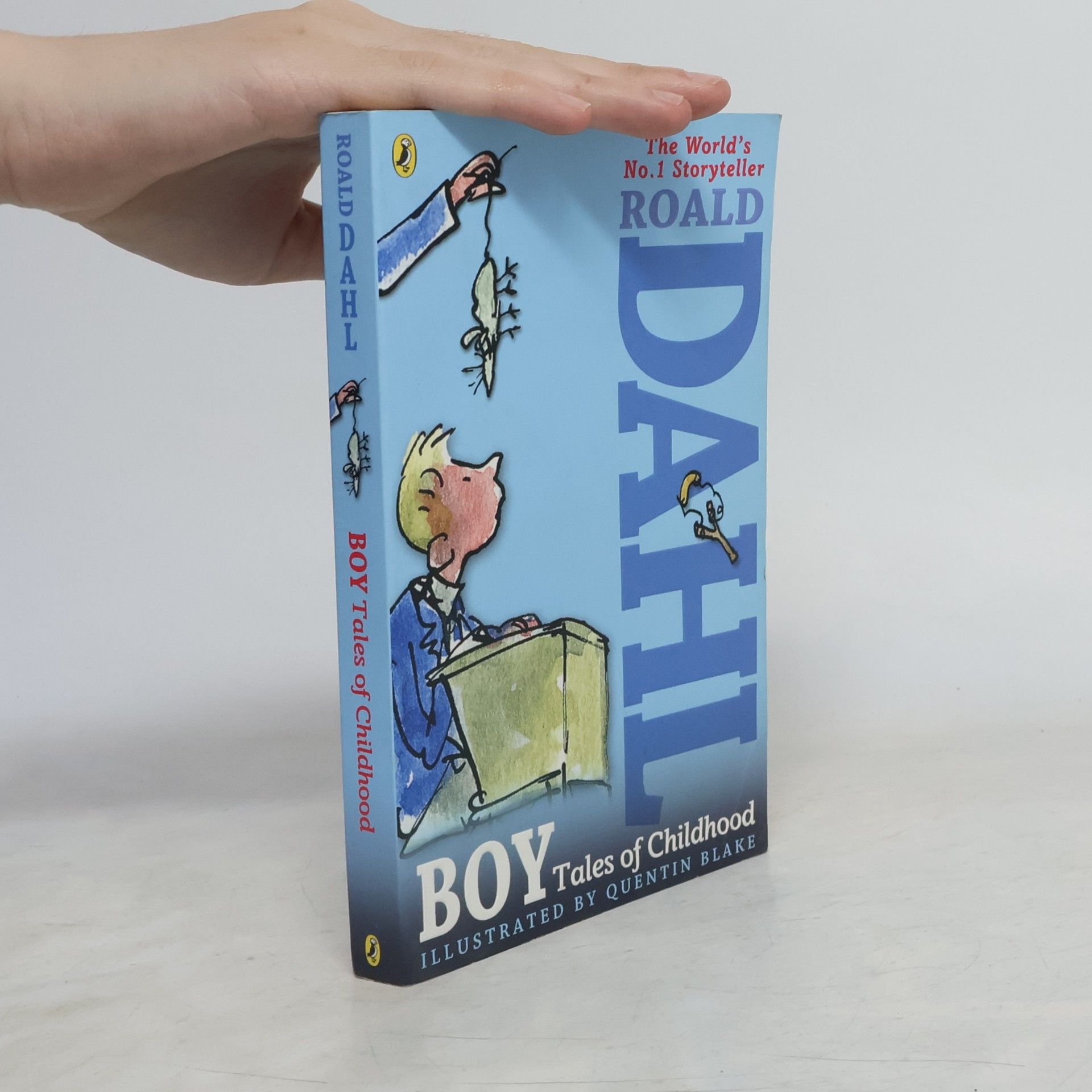 Roald Dahl Boy: Tales of Childhood