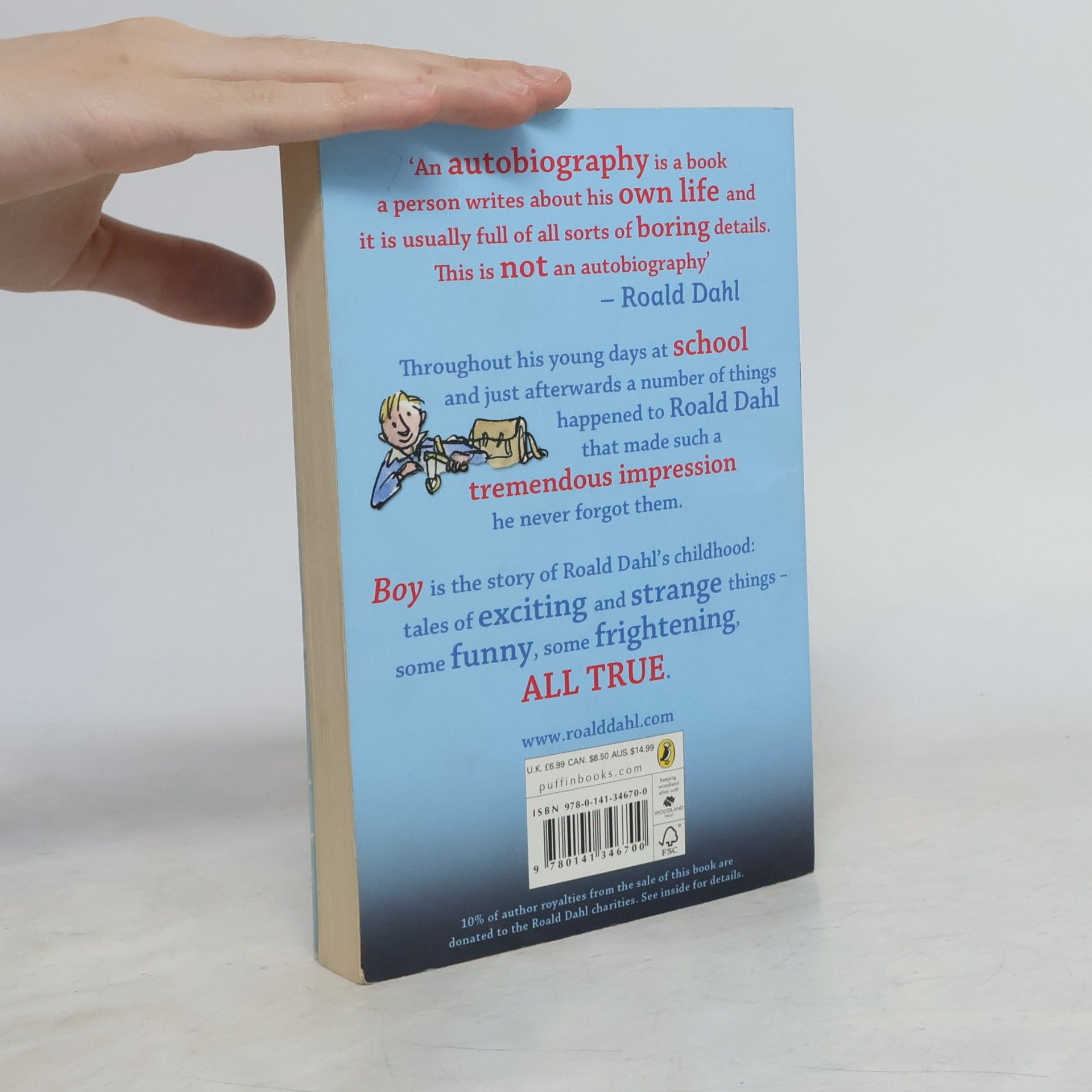 Roald Dahl Boy: Tales of Childhood