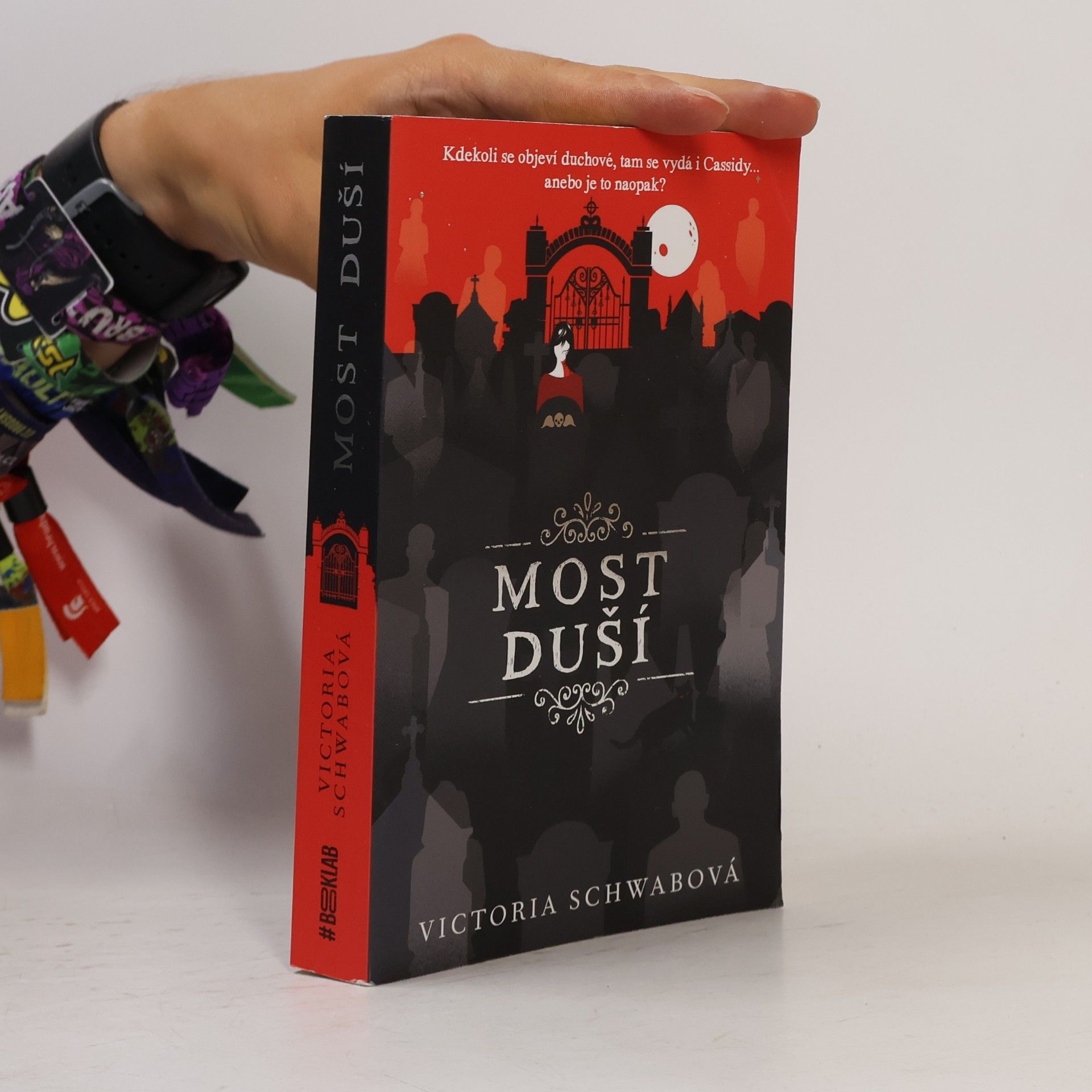 V. E. Schwab Most duší