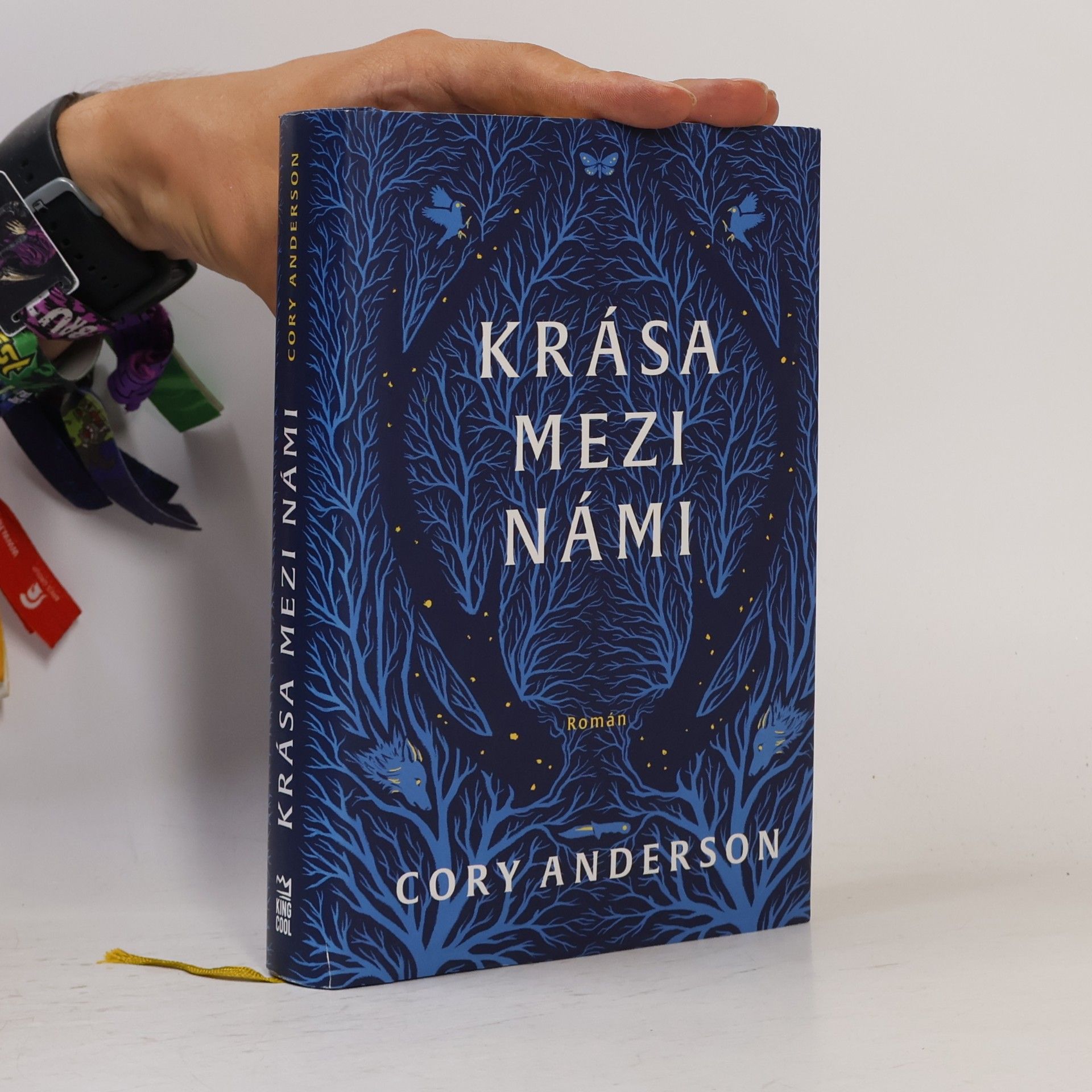 Cory L. Anderson Krása mezi námi