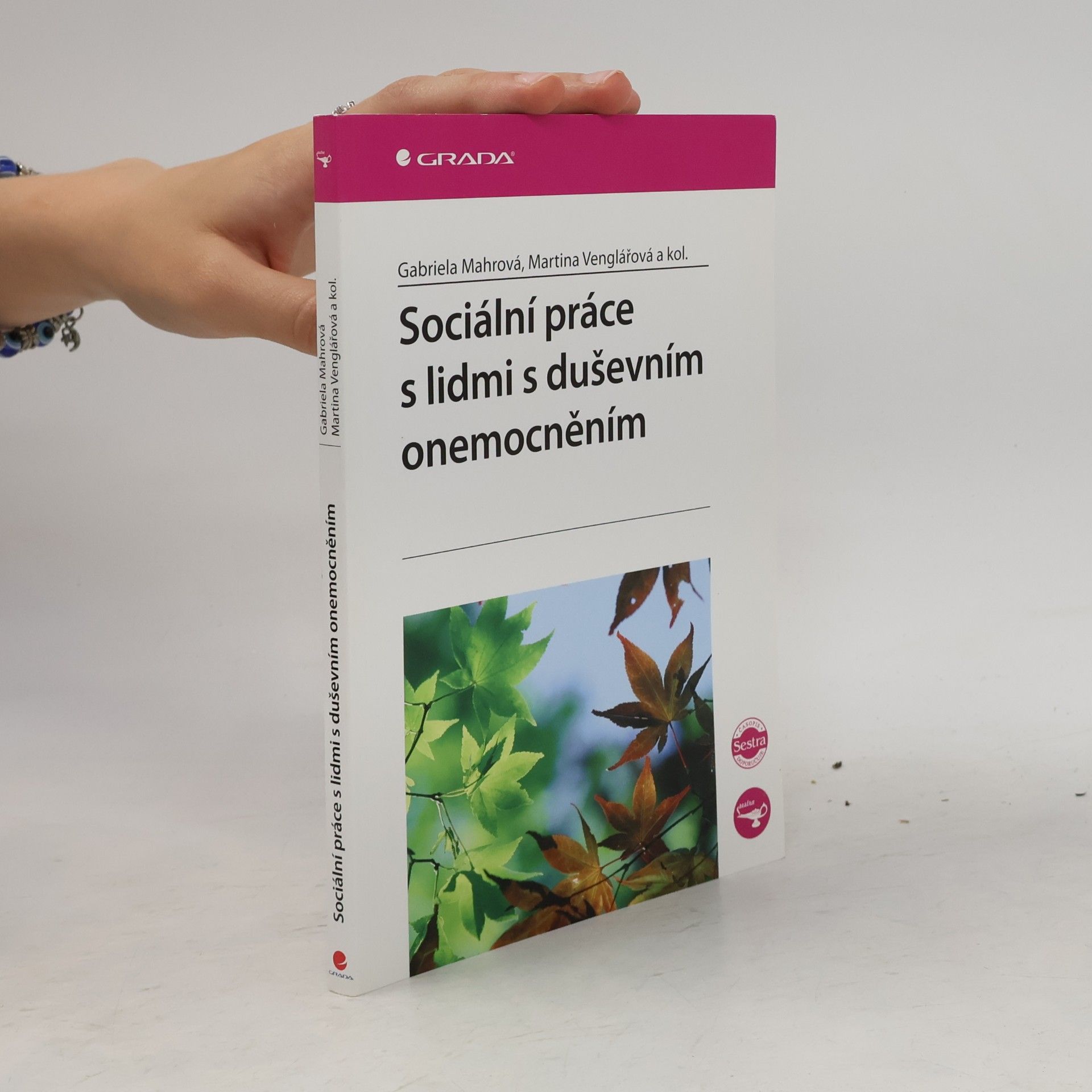 Gabriela Mahrová Sociální práce s lidmi s duševním onemocněním
