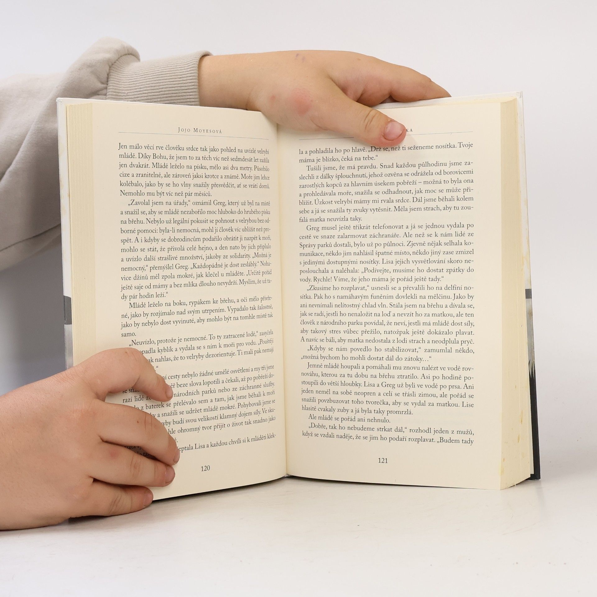 Jojo Moyes Stříbrná zátoka