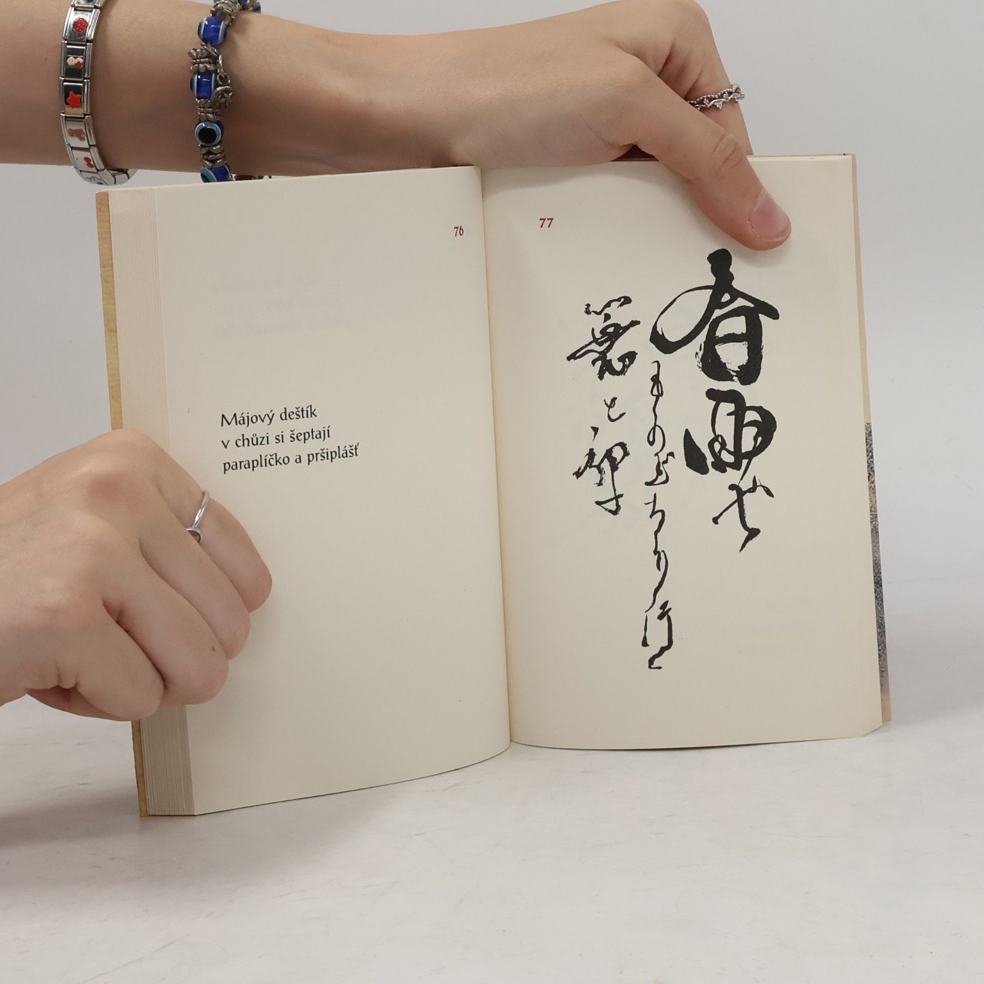 Petr Geisler Pár much a já : malý výběr z japonských haiku