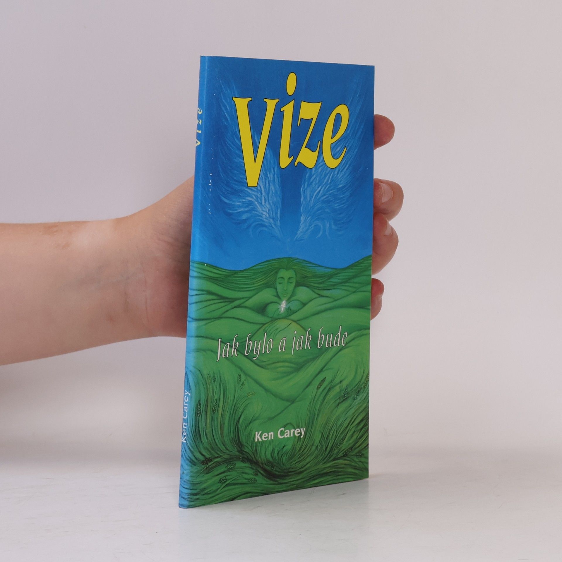Ken Carey Vize : jak bylo a jak bude