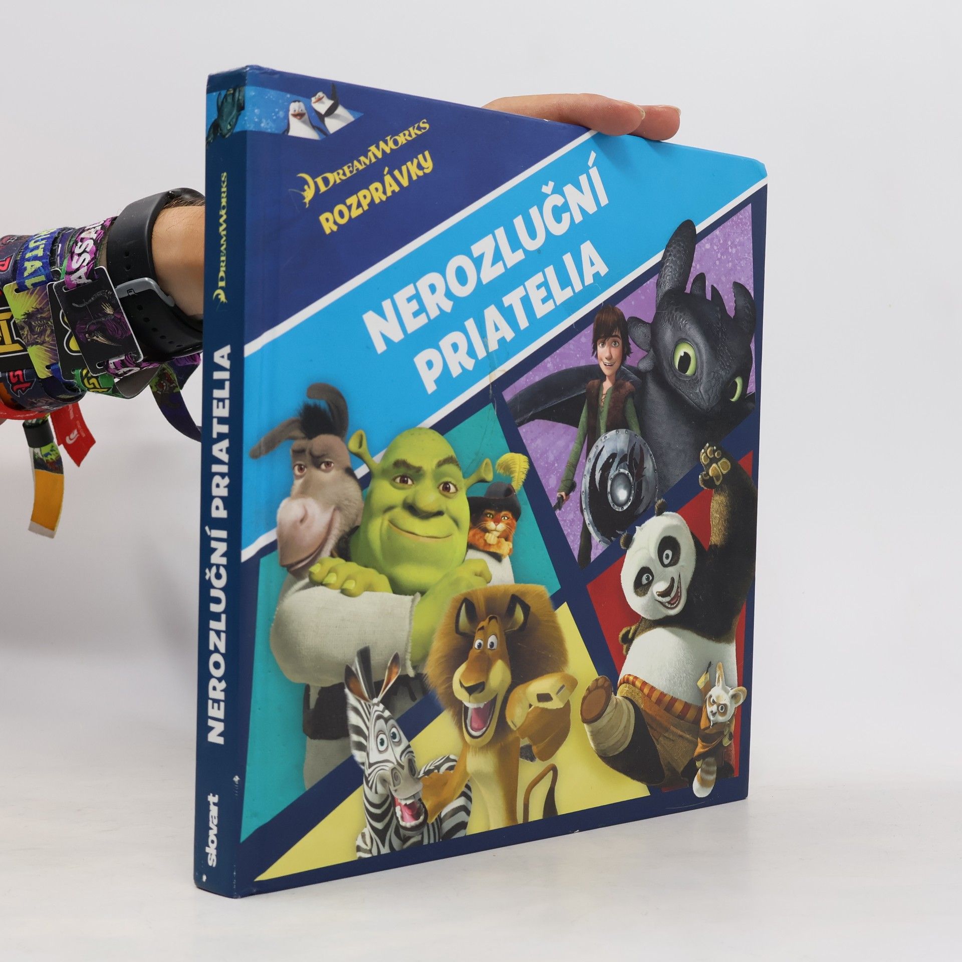 Autorenkollektiv Nerozluční priatelia