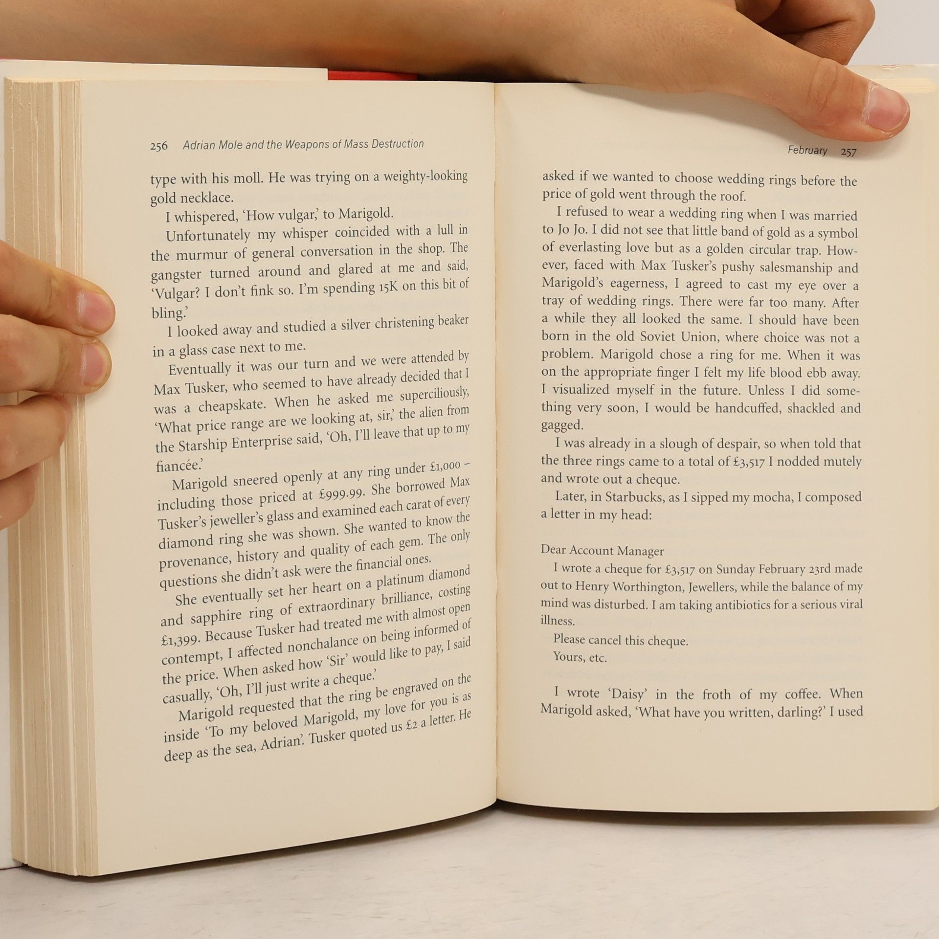 Sue Townsend Adrian Mole and the Weapons of Mass Destruction