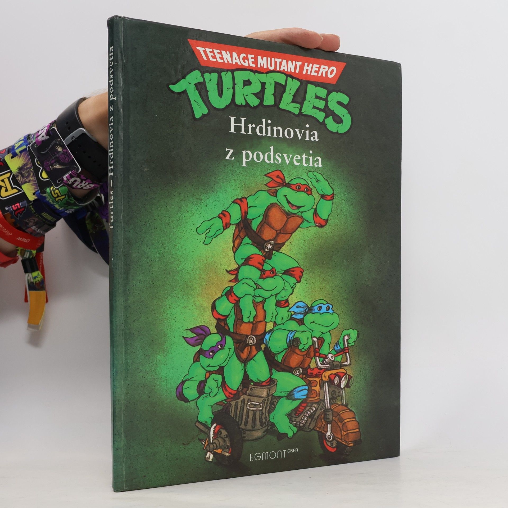 Maureen Spurgeon Turtles - Hrdinovia z podsvetia