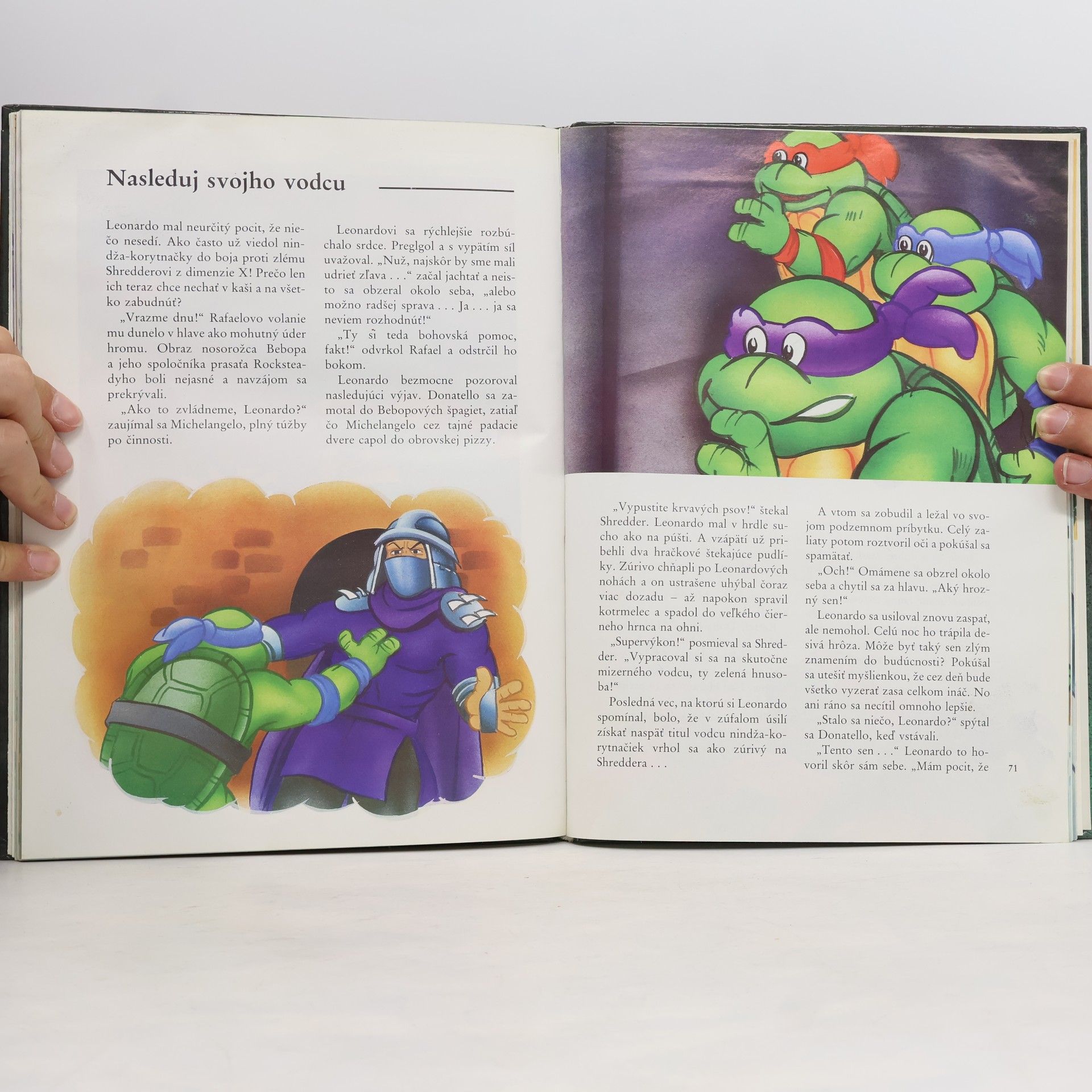 Maureen Spurgeon Turtles - Hrdinovia z podsvetia
