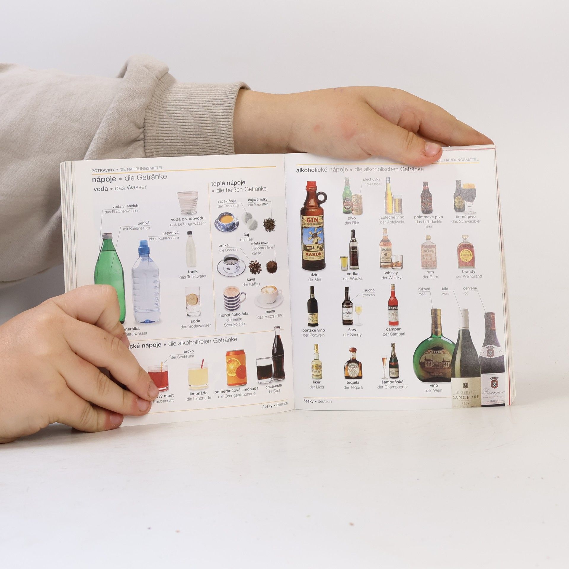 Kolektív autorov Visuelles Wörterbuch tschechisch - deutsch. Über 12 000 Wörten und Redewendungen