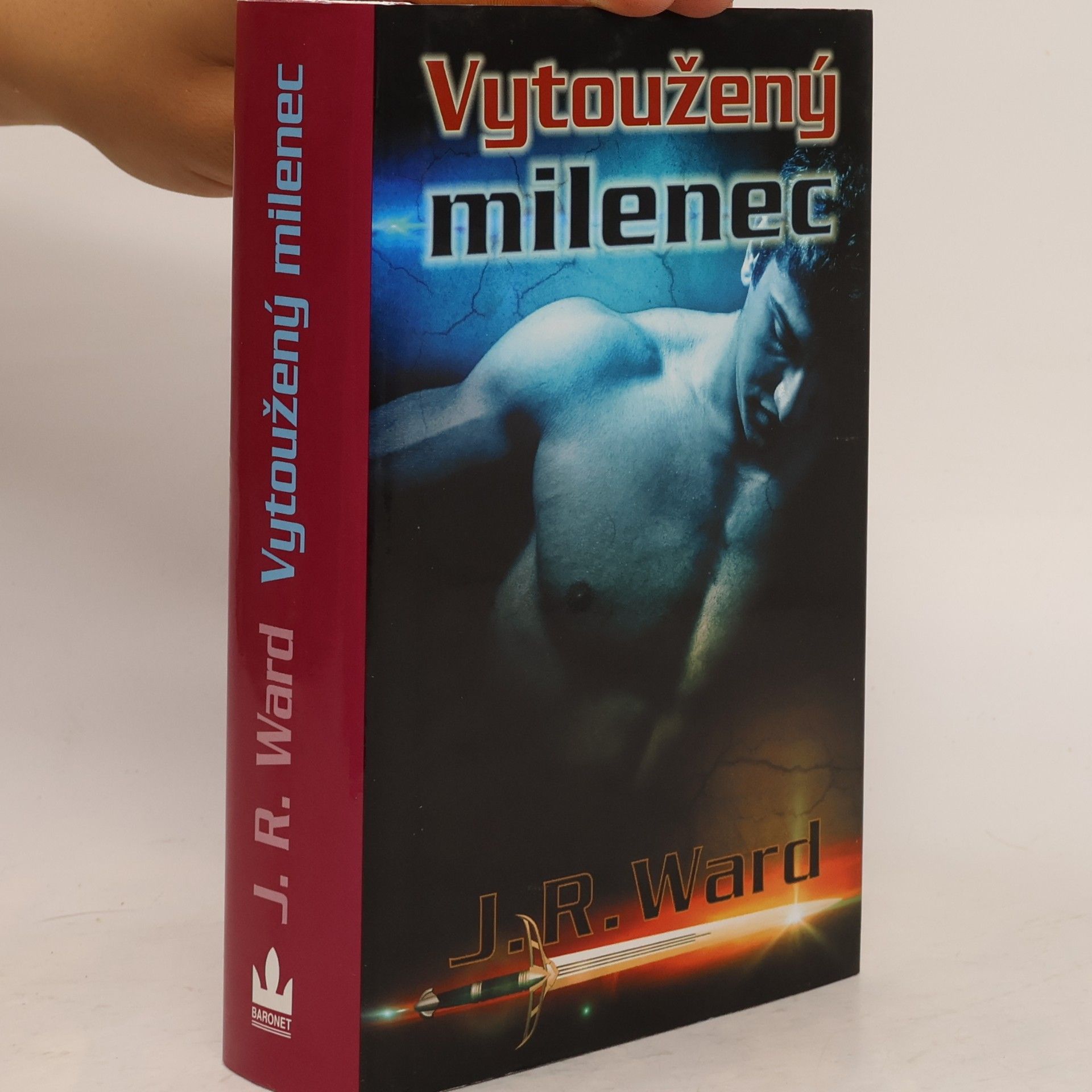 J. R. Ward Vytoužený milenec