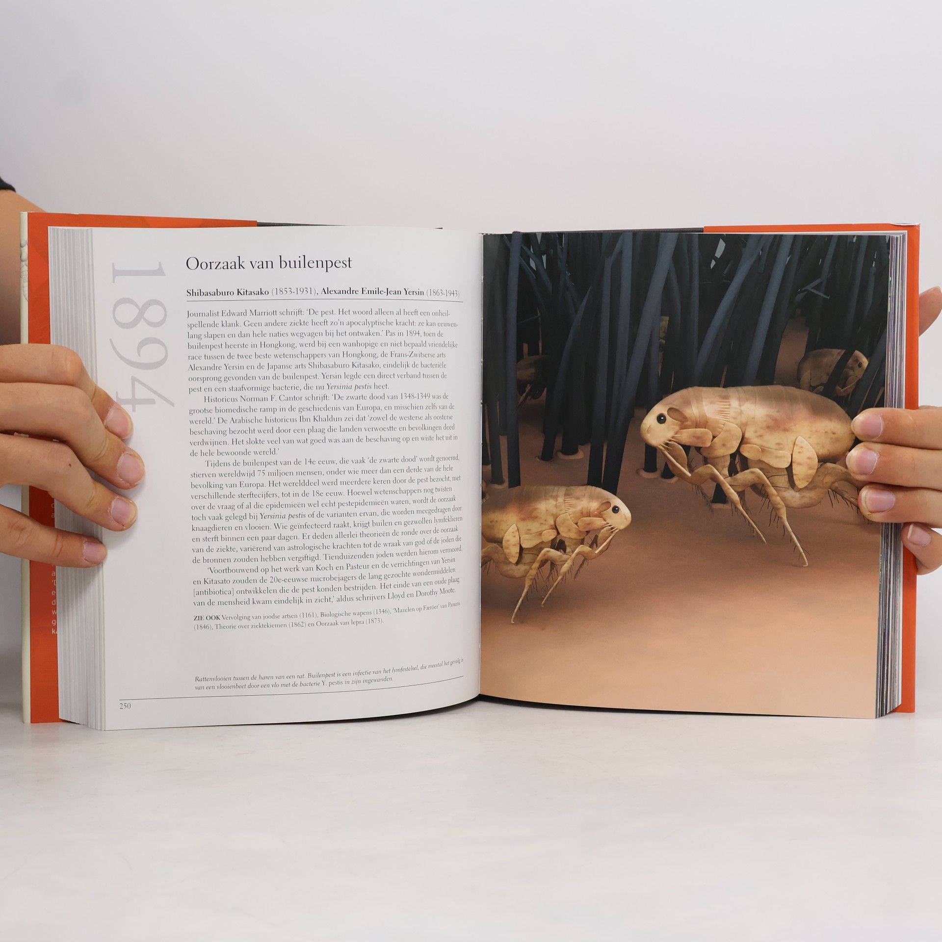 Clifford A. Pickover Het medische boek