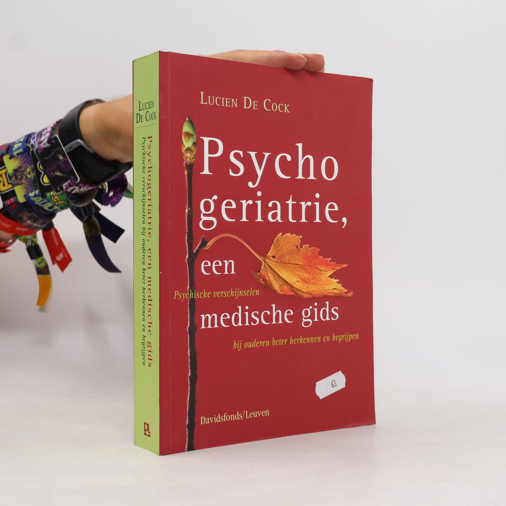 Dr. Lucien De Cock Psychogeriatrie, een medische gids: psychische verschijnselen bij ouderen beter herkennen en begrijpen