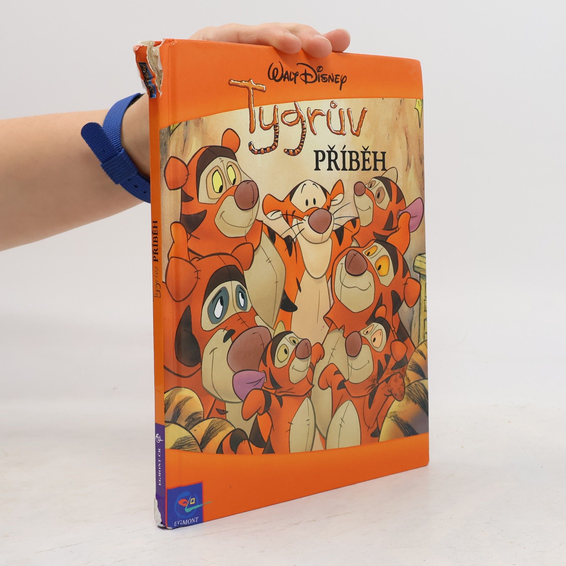 Walt Disney Tygrův příběh