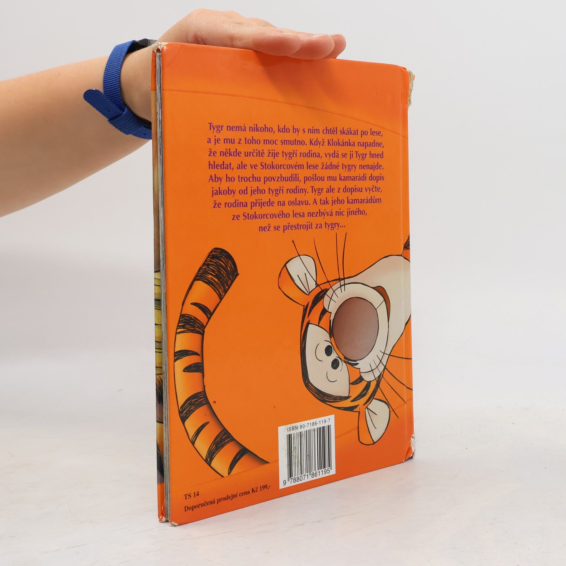 Walt Disney Tygrův příběh