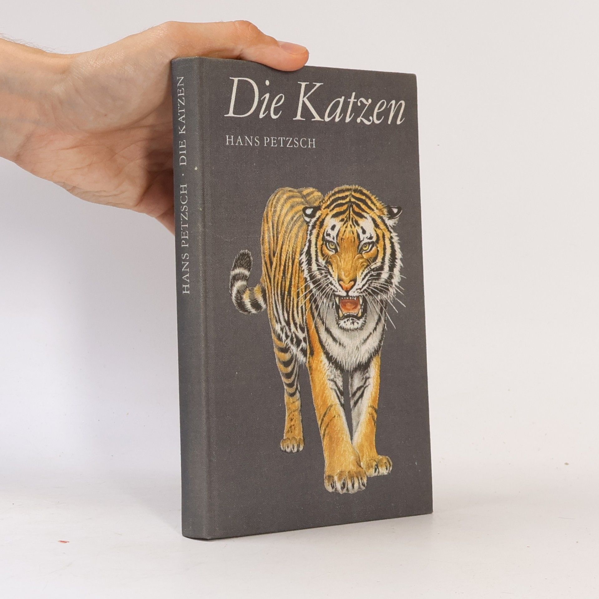 Hans Petzsch Die Katzen