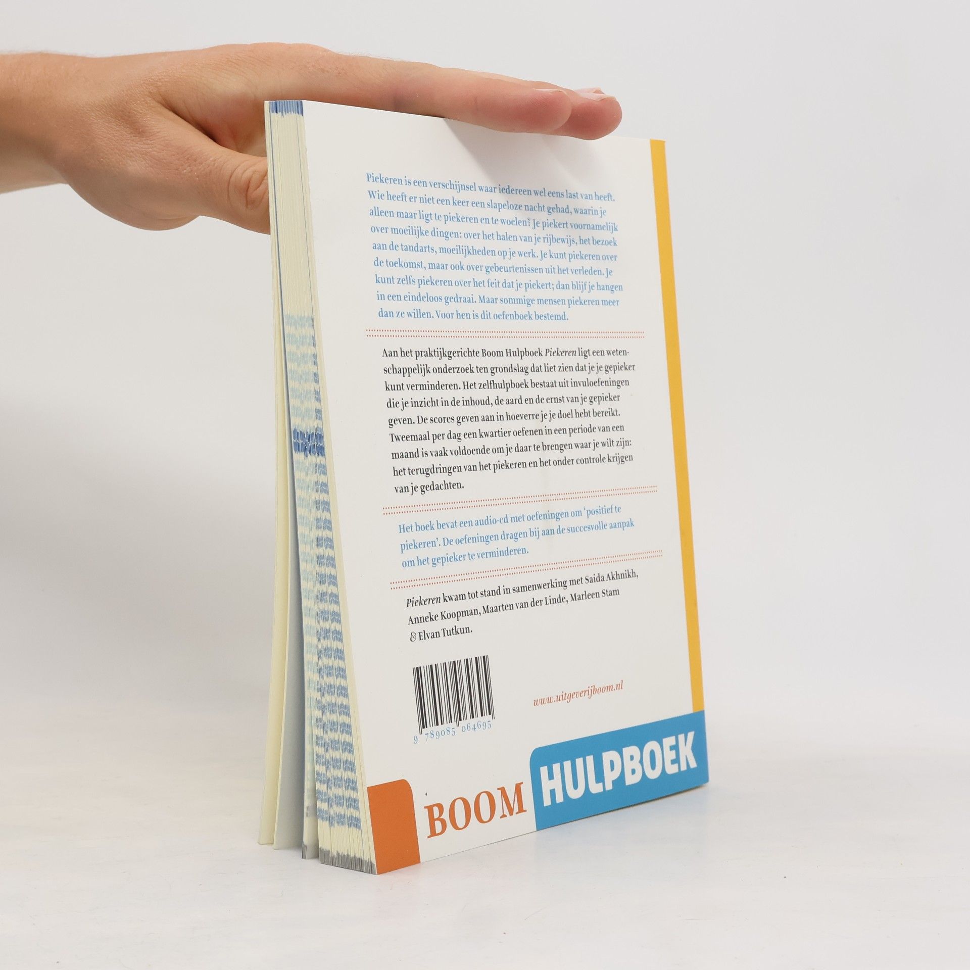 Adrianus Jacobus Franciscus Maria Kerkhof Boom hulpboek Piekeren