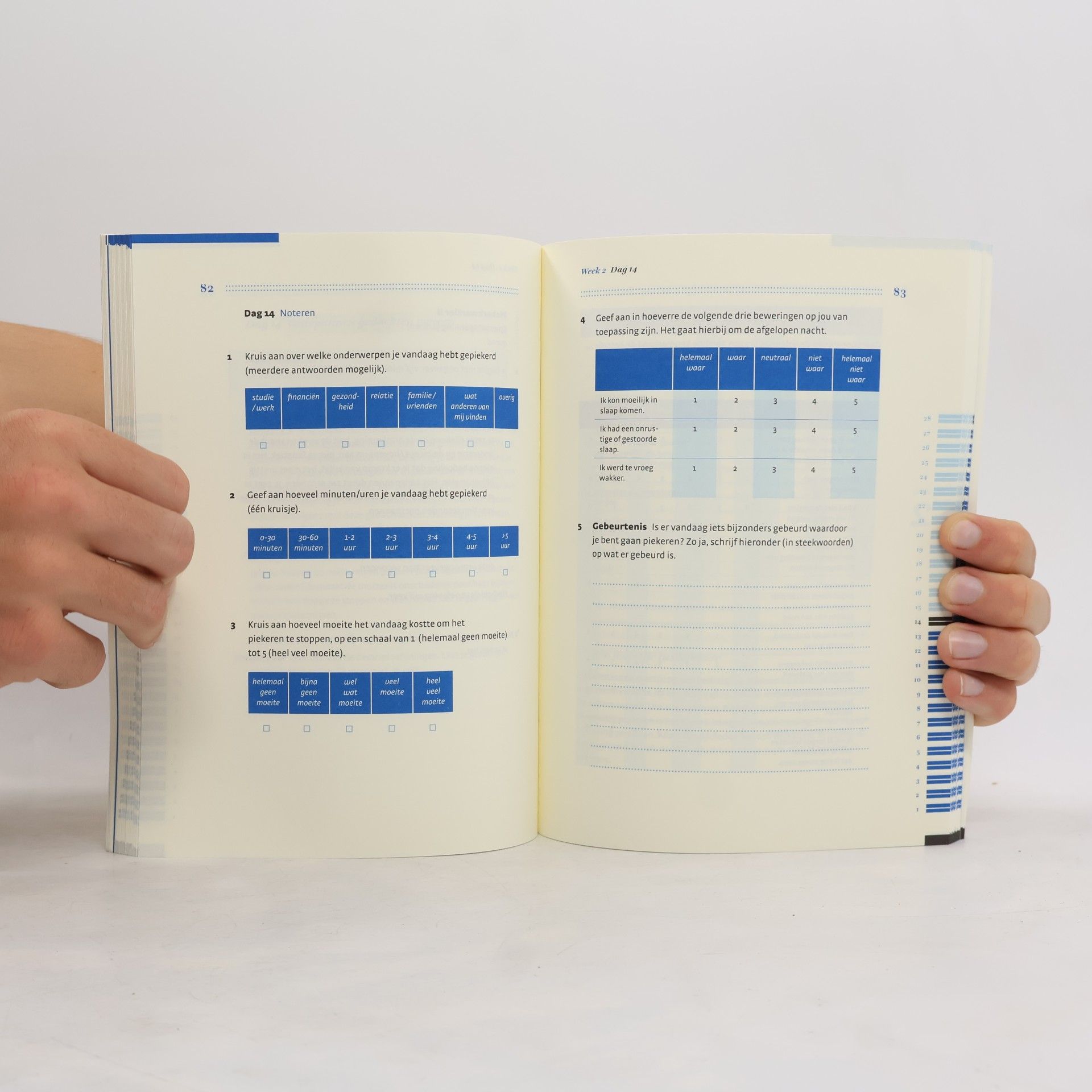 Adrianus Jacobus Franciscus Maria Kerkhof Boom hulpboek Piekeren