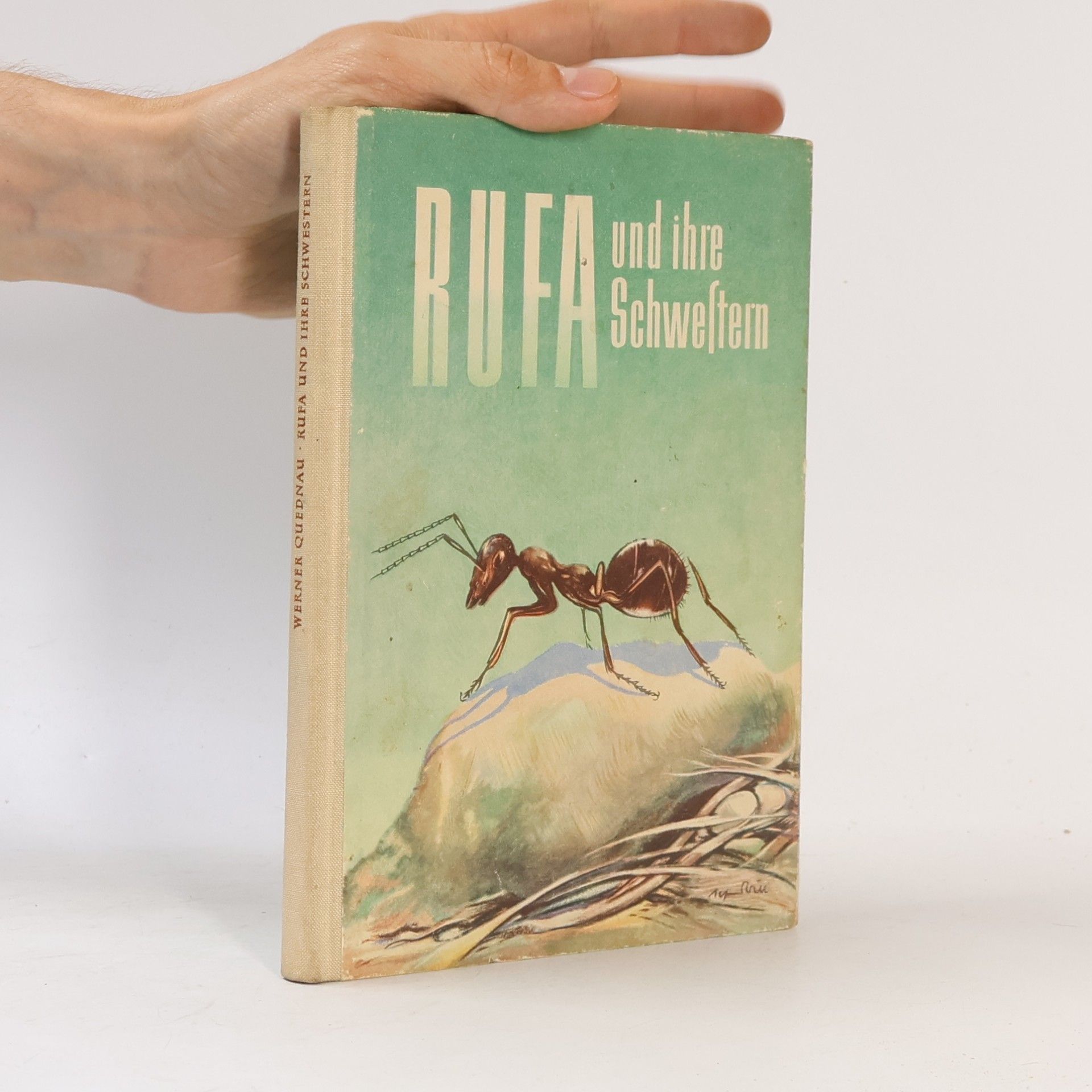 Werner Quednau Rufa und ihre Schwestern
