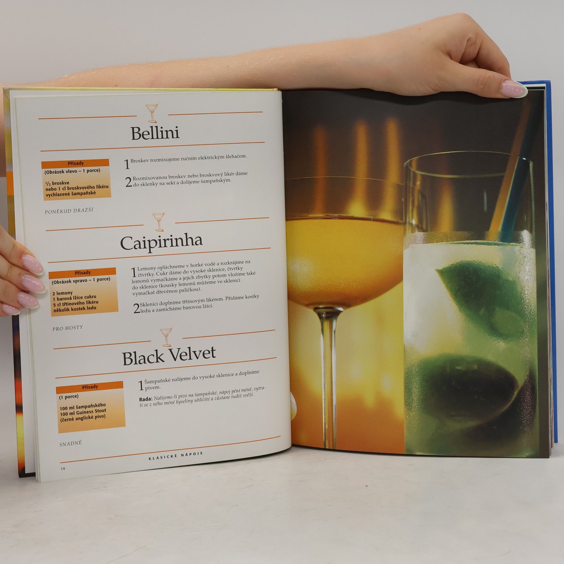 Kolektiv autorů Nápoje alkoholické i nealkoholické