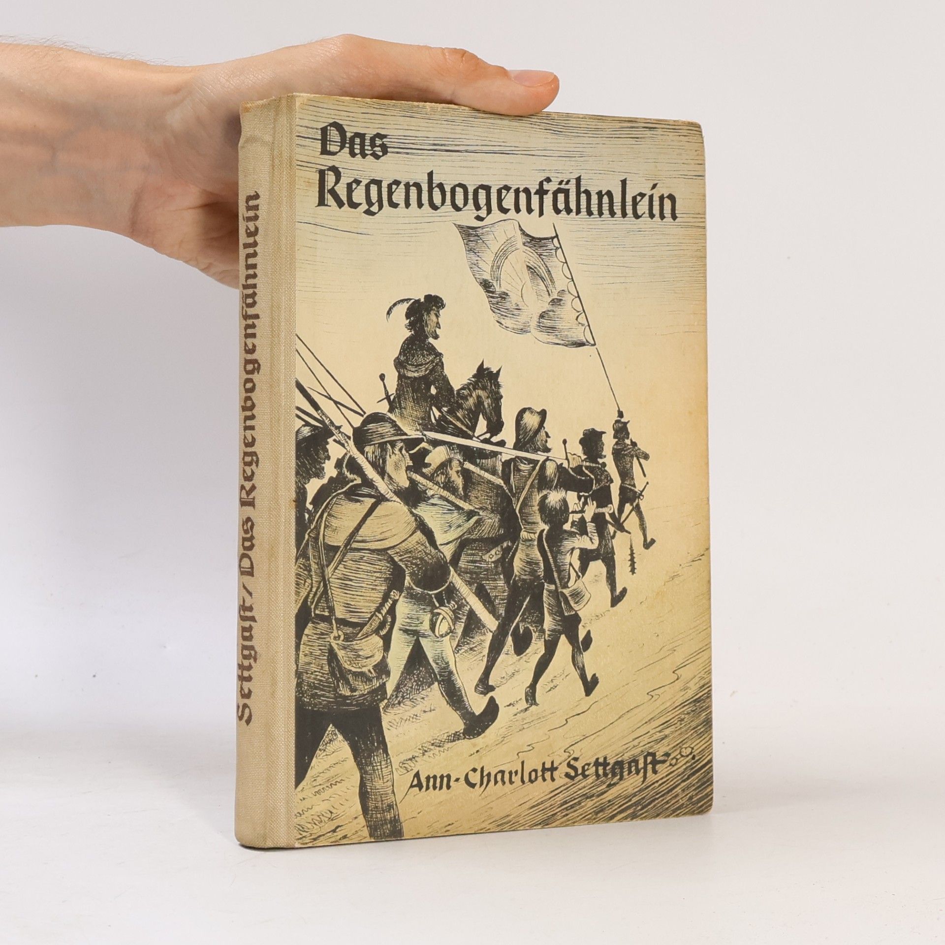 Ann Charlott Settgast Das Regenbogenfähnlein