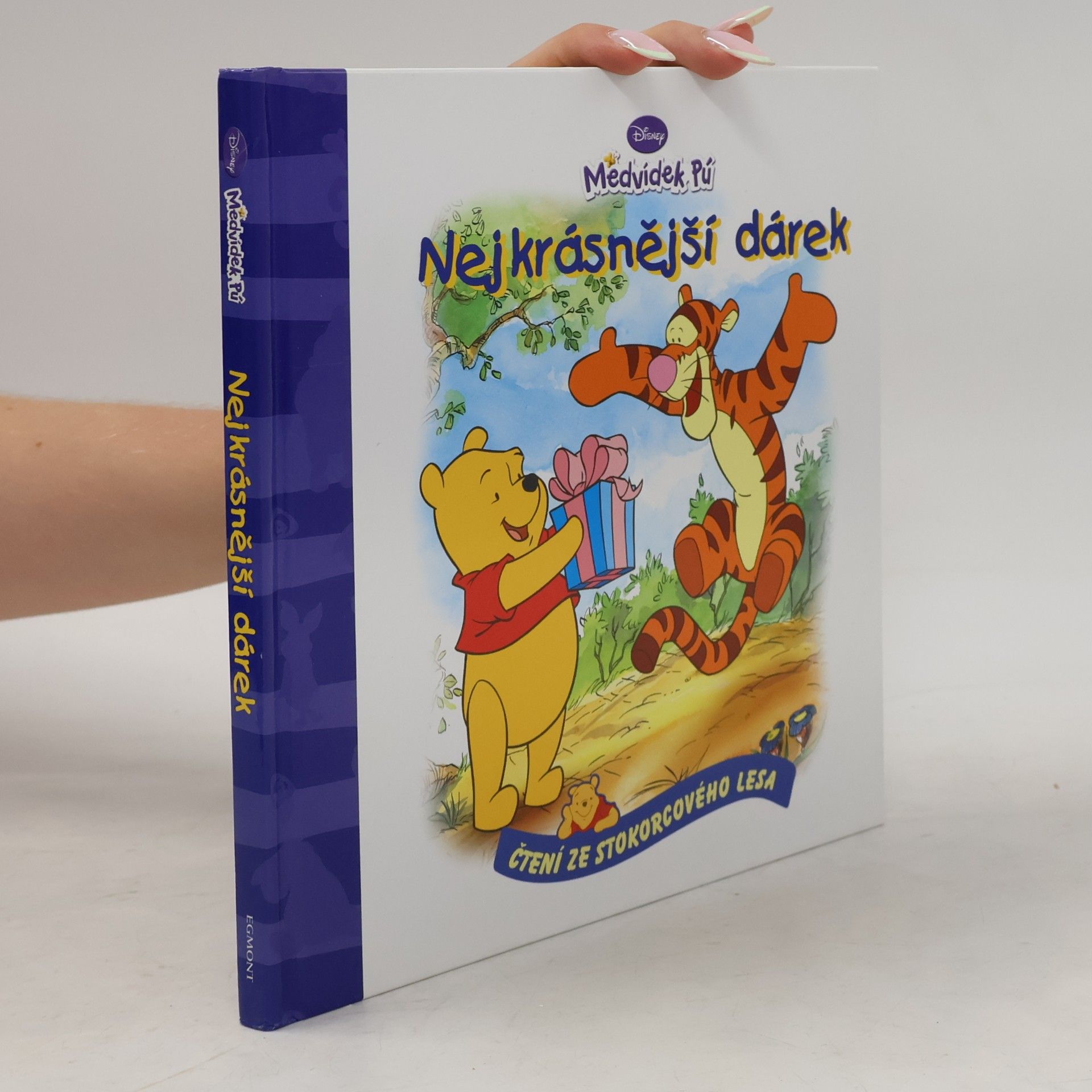 Walt Disney Medvídek Pú - Nejkrásnější dárek