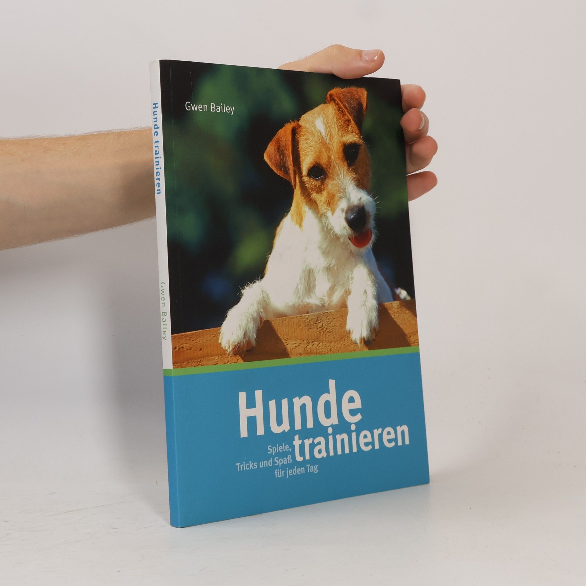 Bailey Gwen Hunde Trainieren: Spiele, Tricks und Spass für jeden Tag